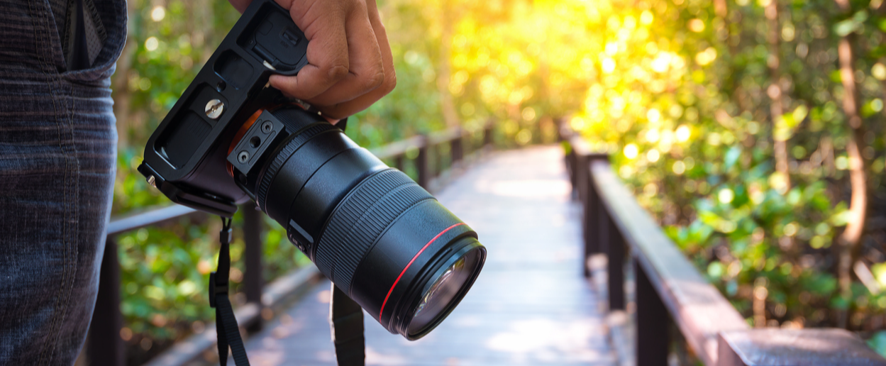 Person looking at a bridge holding a camera