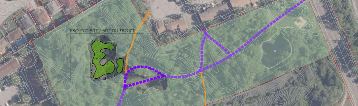 Plan view of proposed remediation area within Bathgate Park 