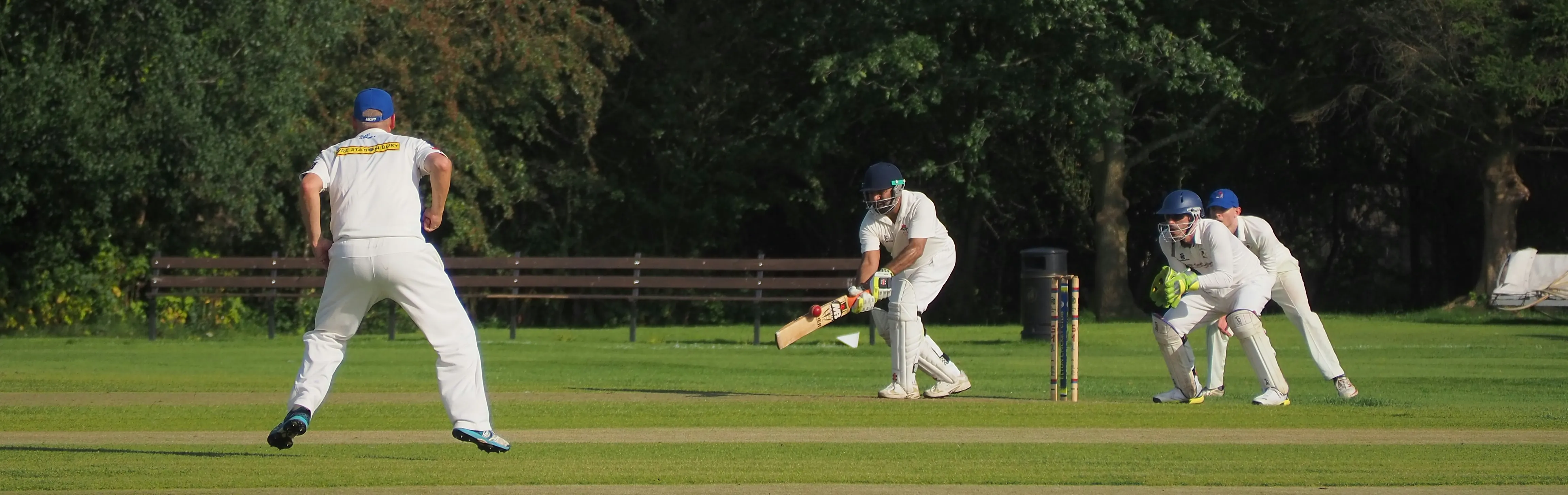 Recreational cricket play on a pitch