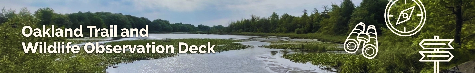 project banner