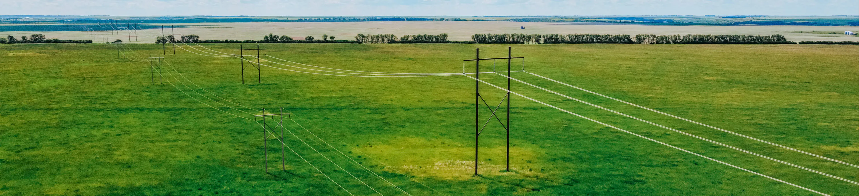 power lines in a field