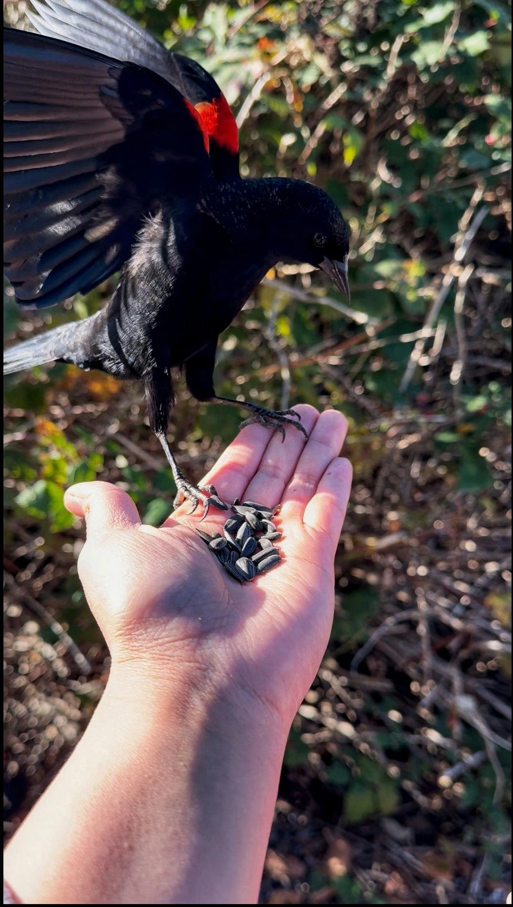 Mariole Perez - Adult