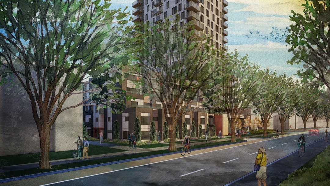 A city street lined with tall trees and a bike lane, with a high-rise building in the background.
