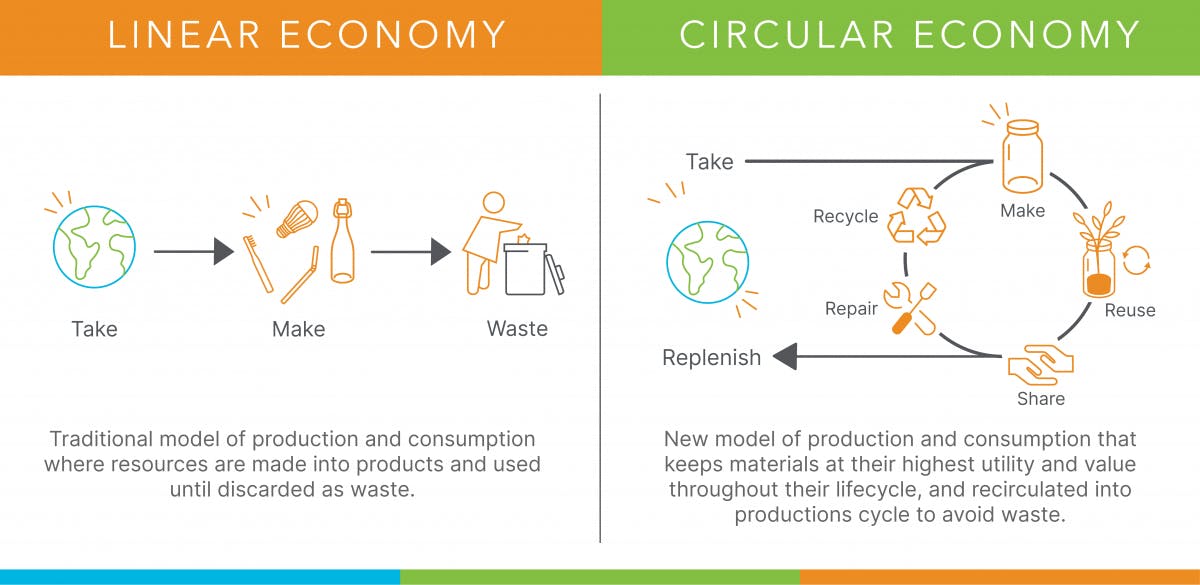 Linear and Circular Economies