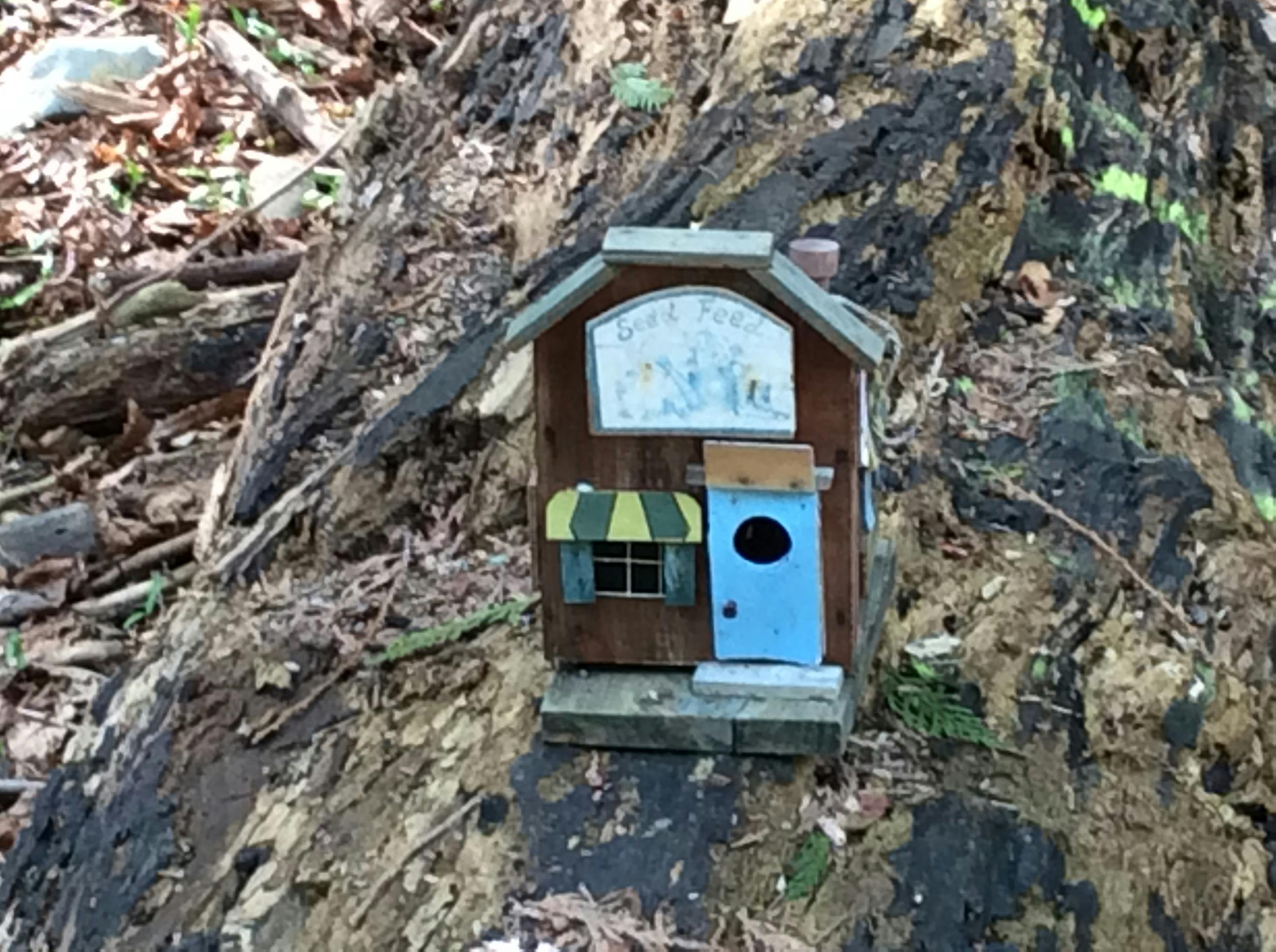 Bird House