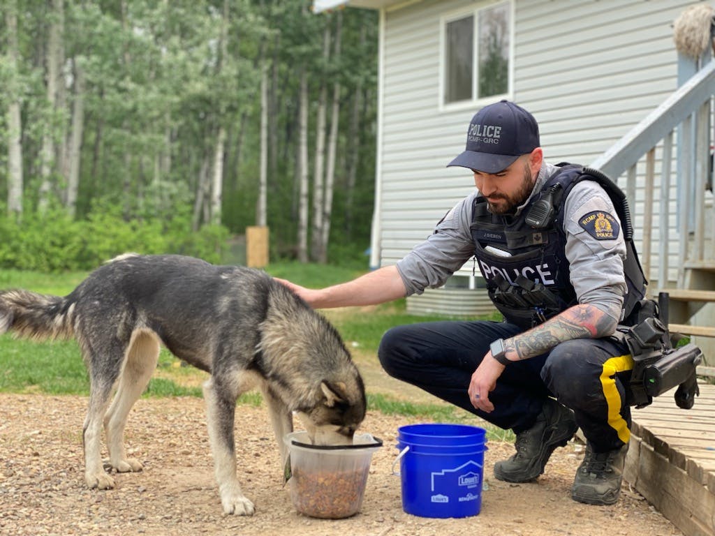 RCMP - Assisting with pets during wildfires