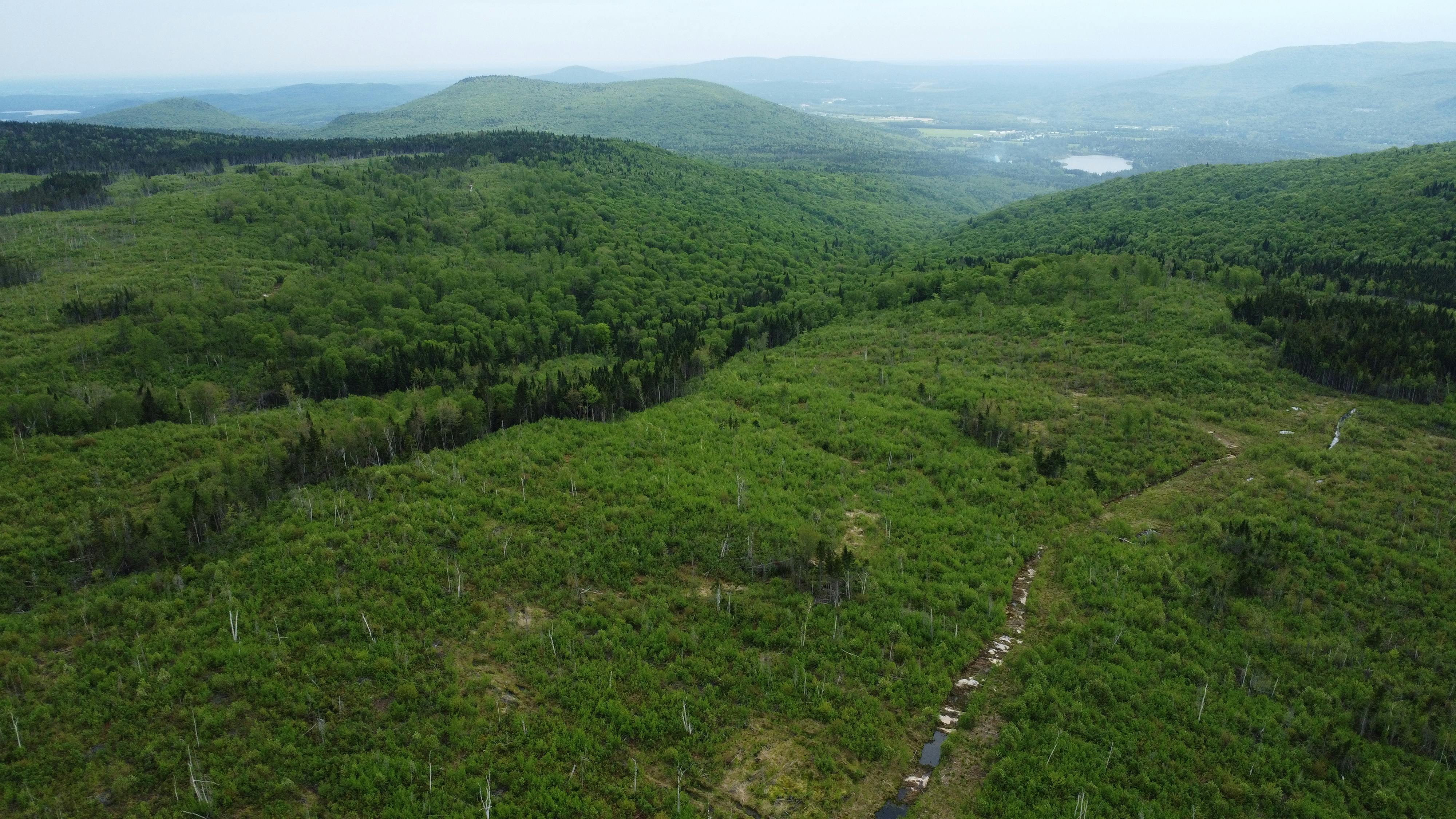 _DJI_0697.JPG