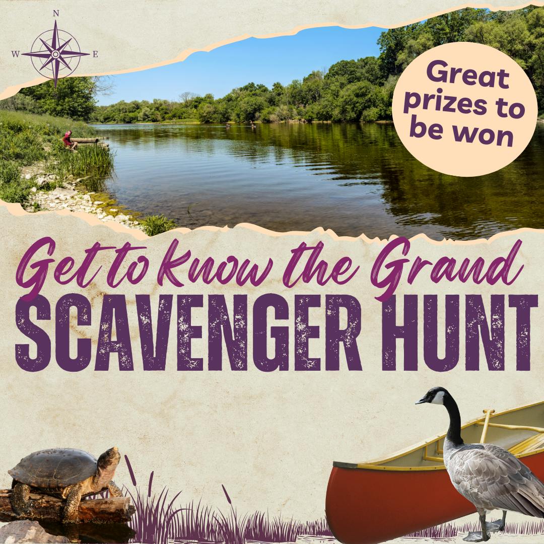 Get to know the grand scavenger hunt