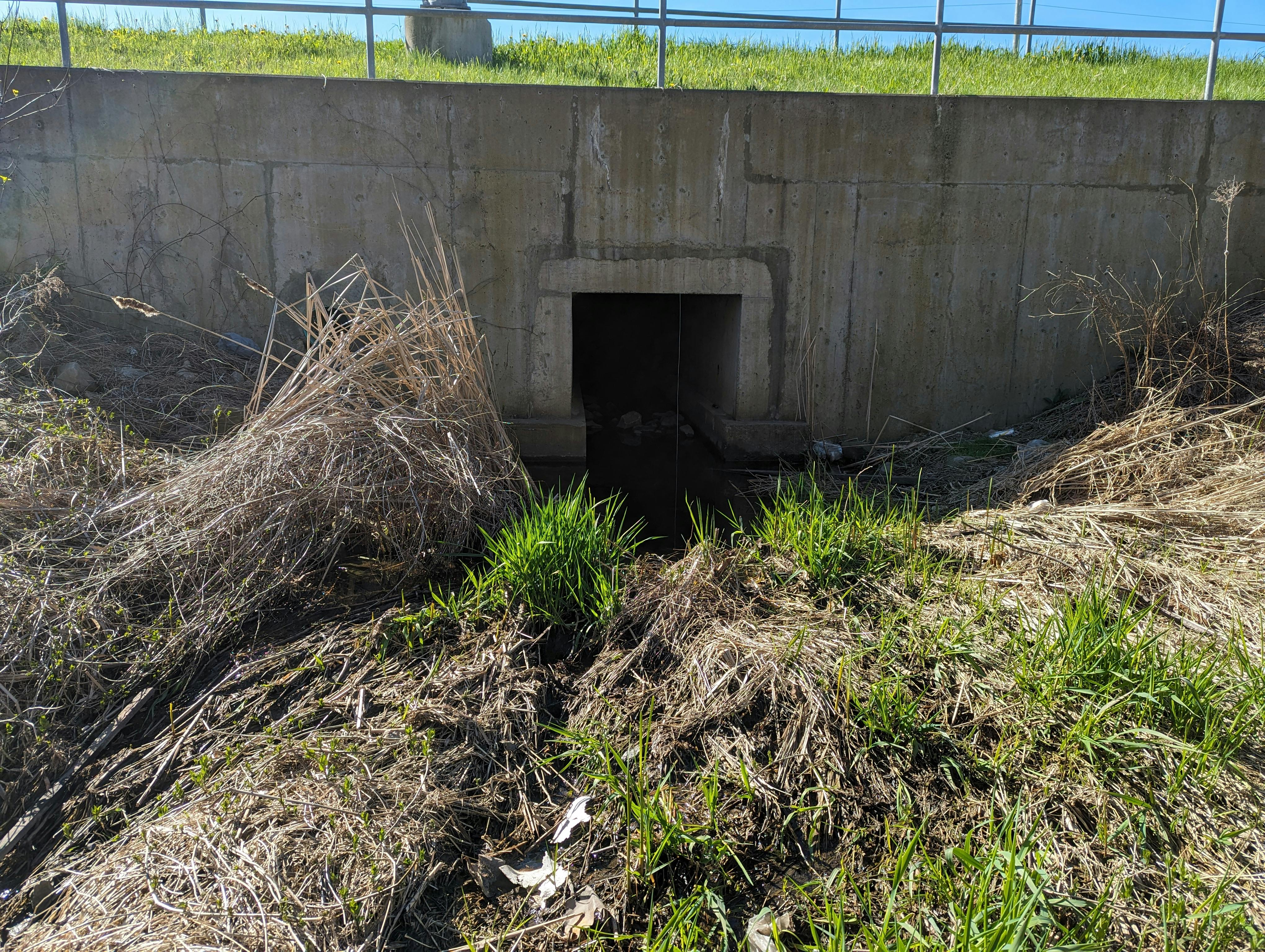 Erosion issues- 12 Mile Creek