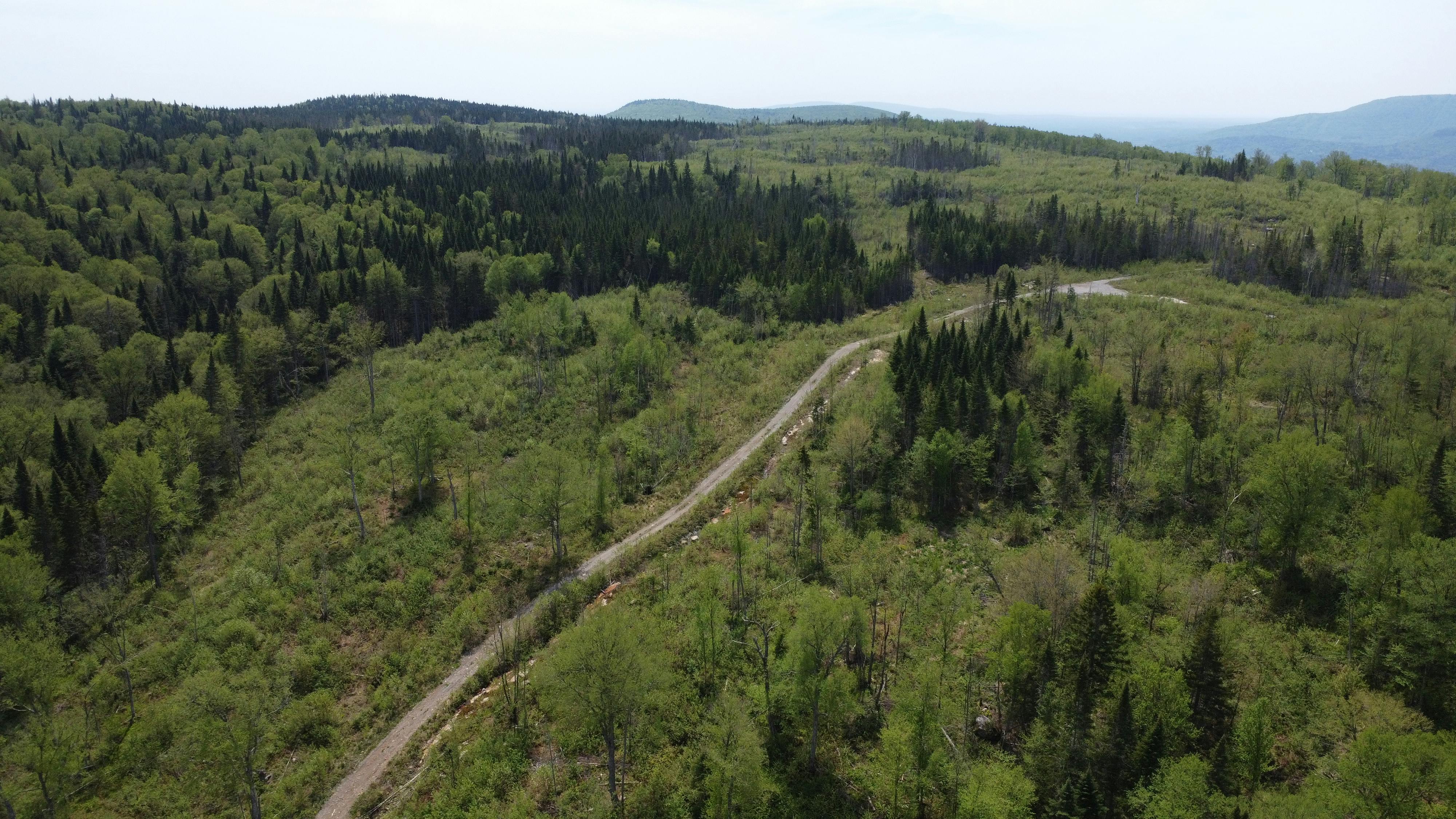 _DJI_0525.JPG