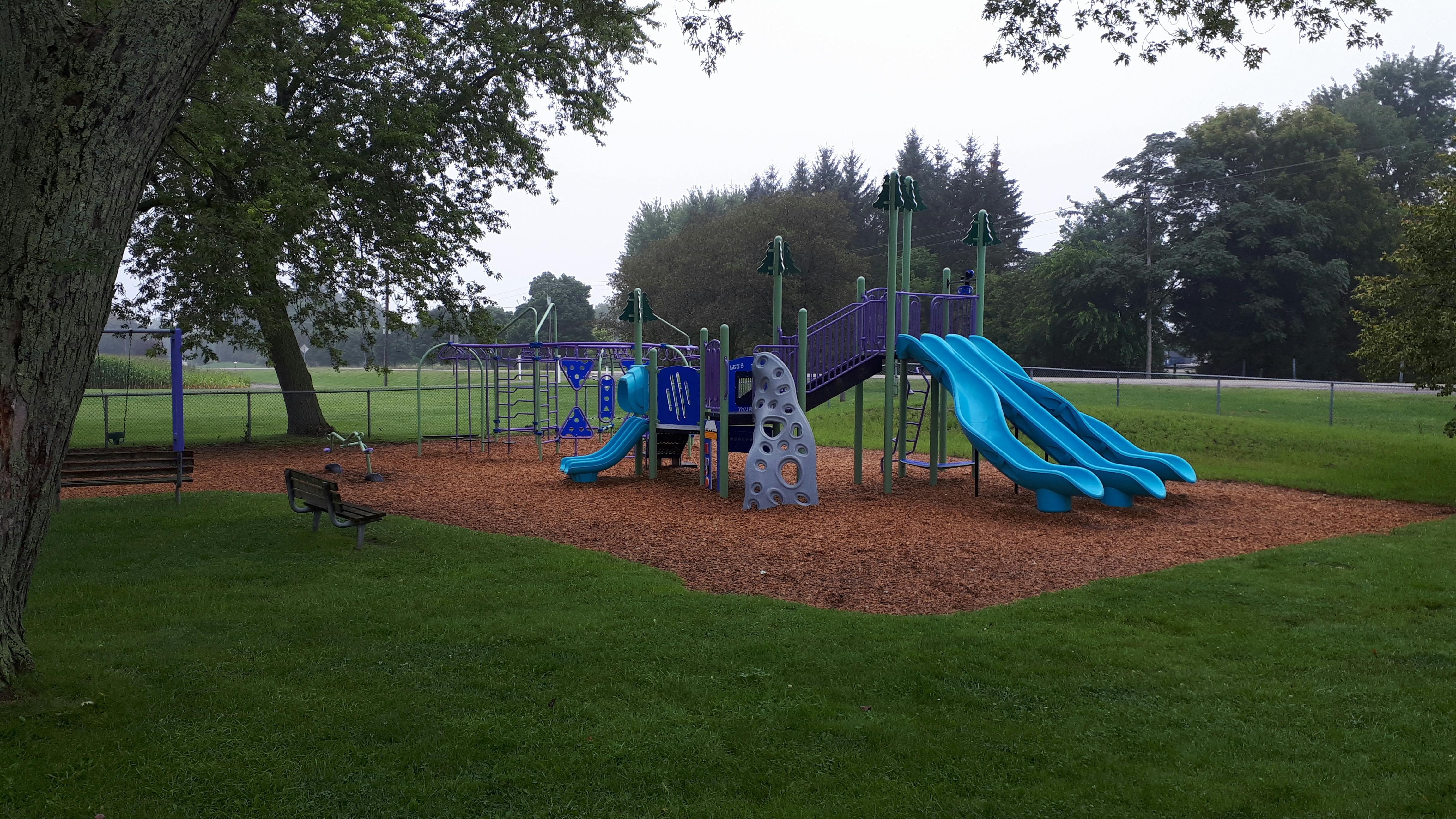 Lynden Lions Completed 1.jpg