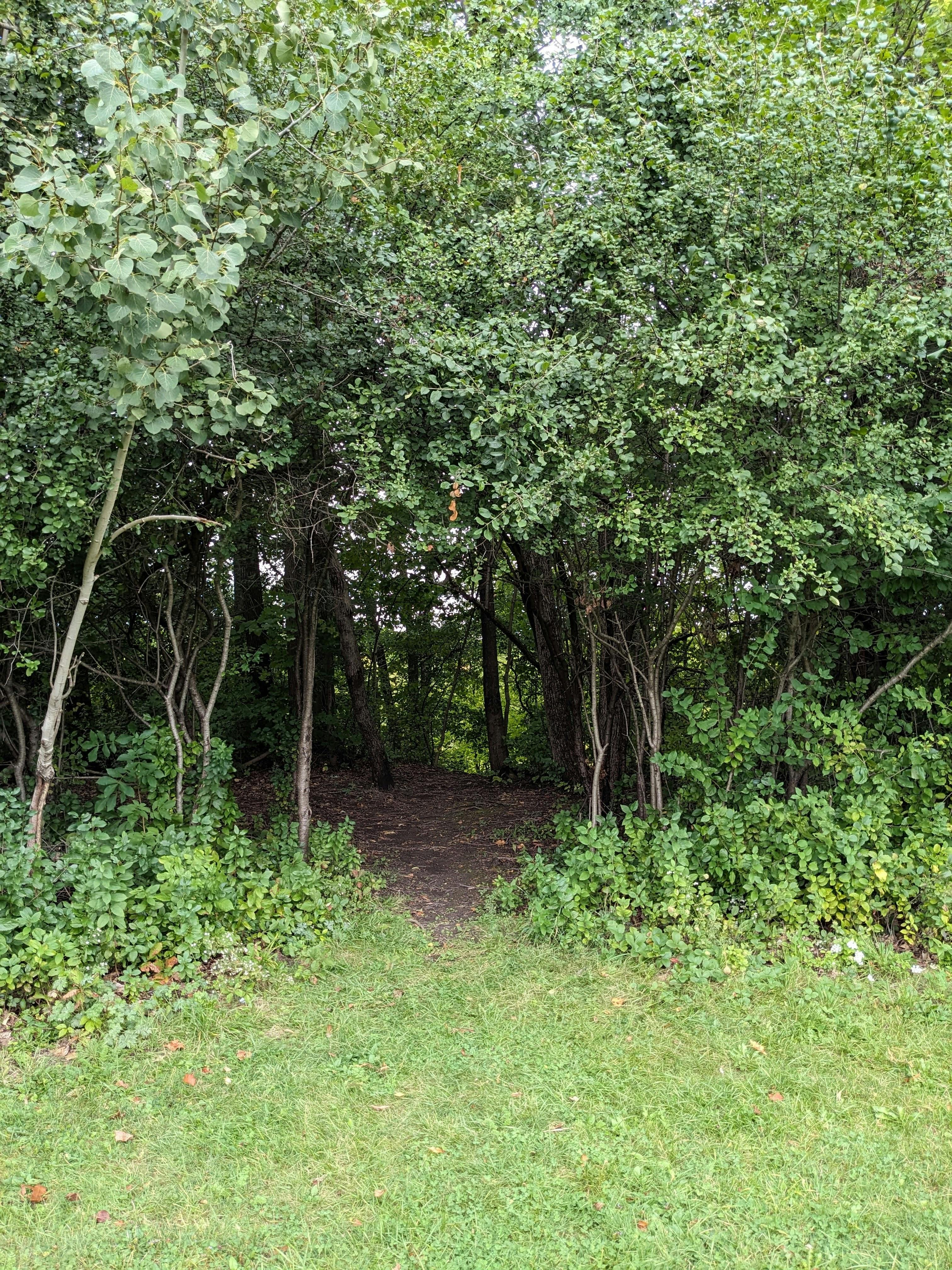 The existing trail opening northwest of Murray Park. 