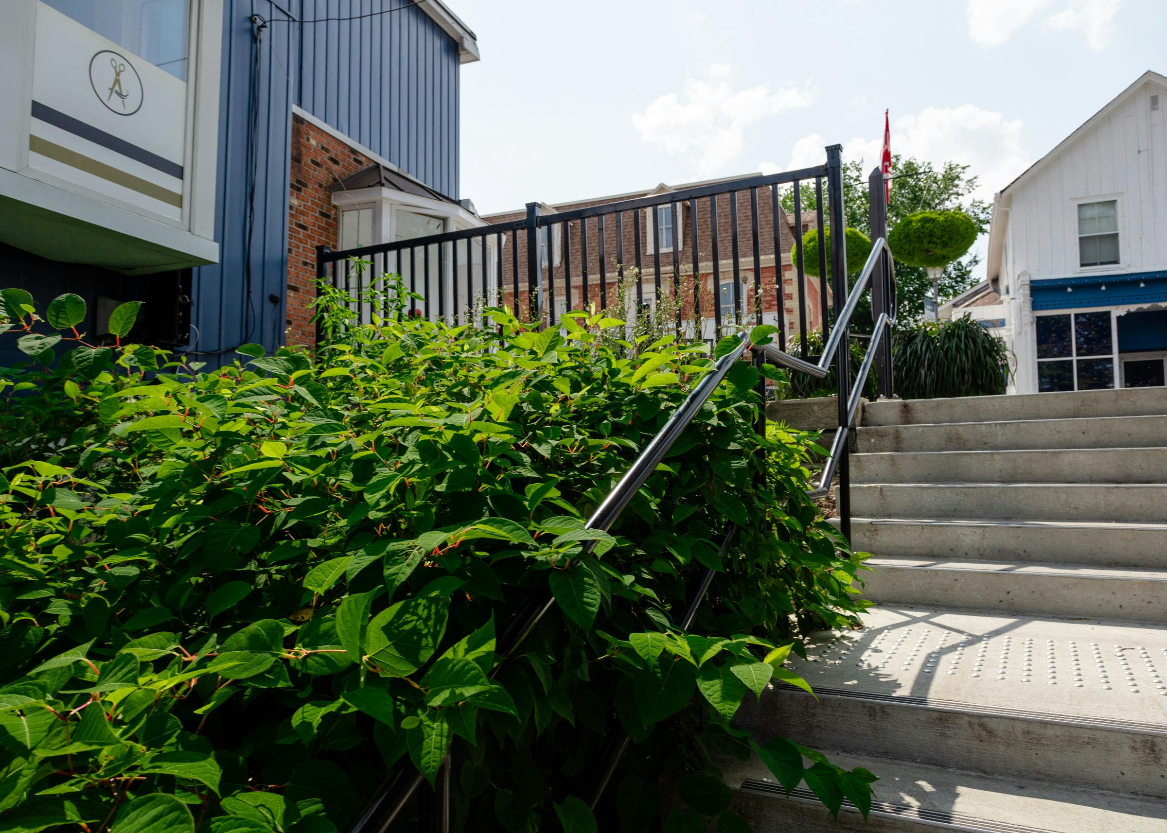 Fence - The fence is on either side of the stairs that lead to the parking lot. Photo by Laura Findlay.