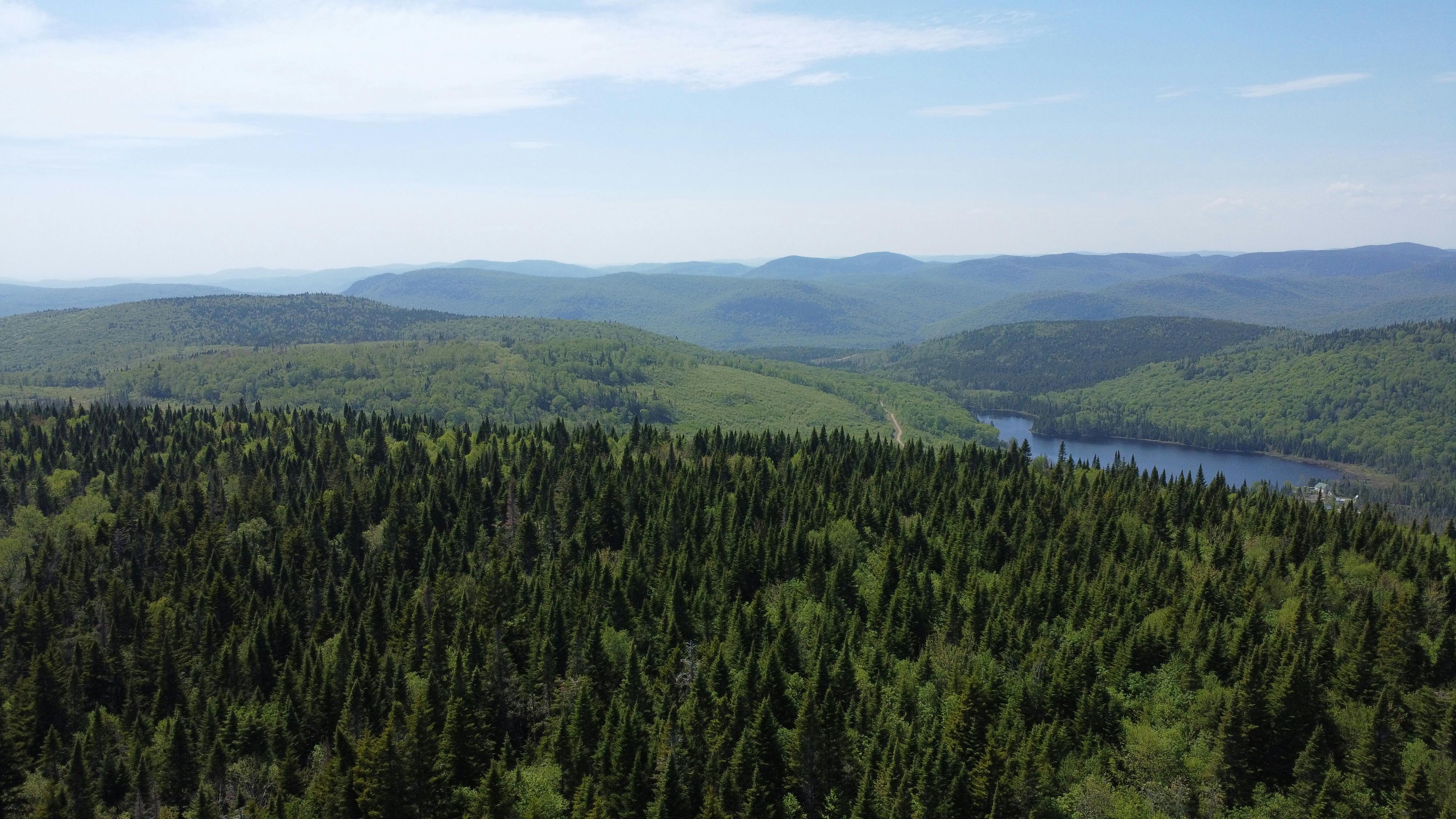_DJI_0546.JPG