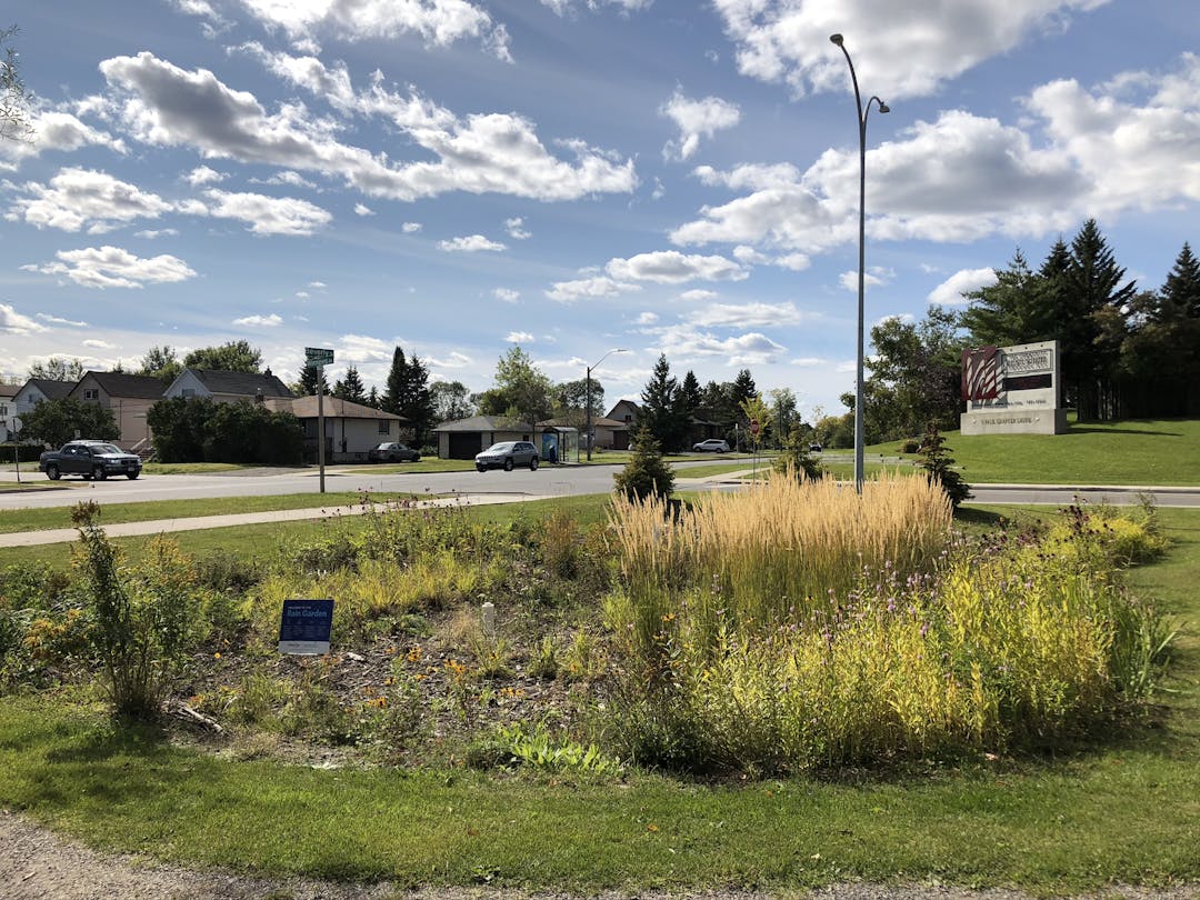 Low-Impact-Development stormwater management "rain garden"