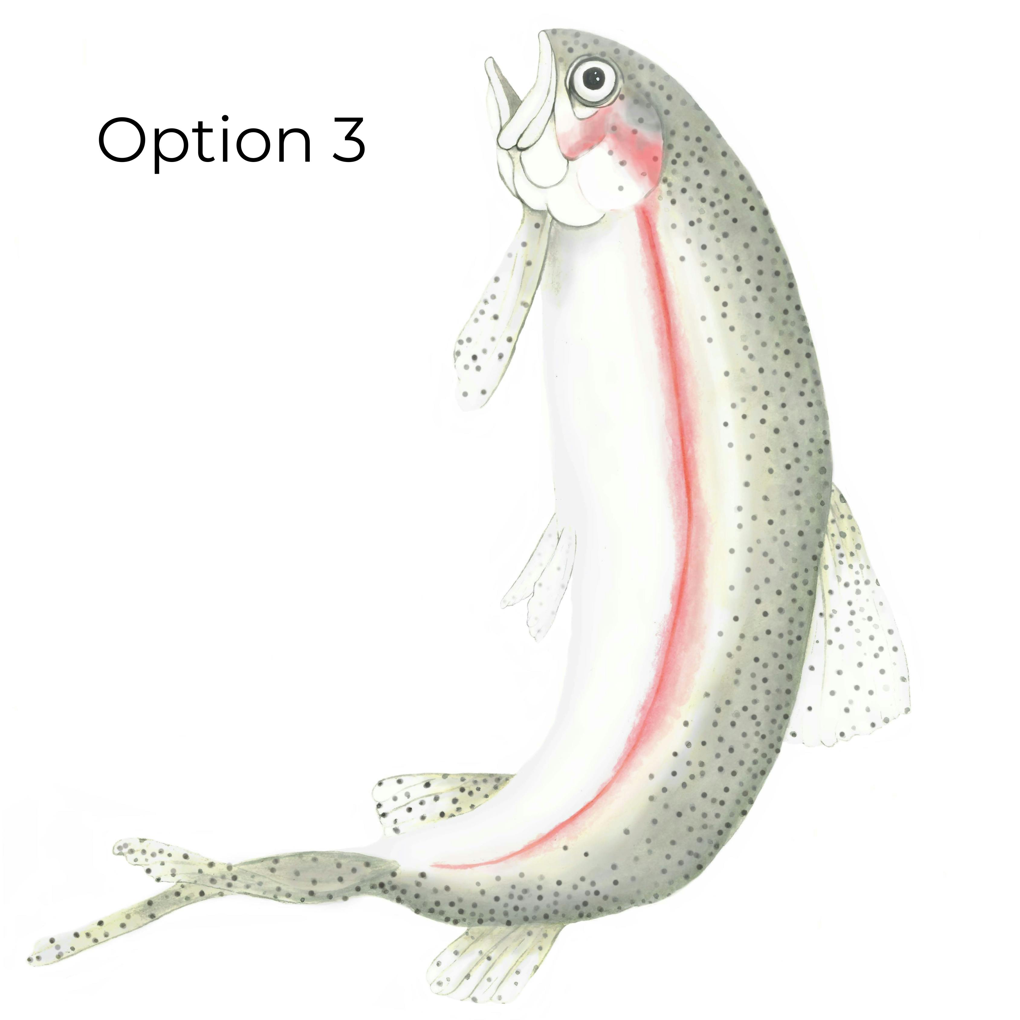 opt 3.png