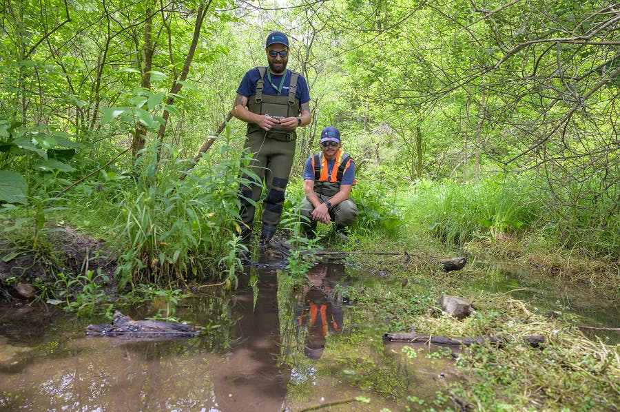 Water Quality Monitoring