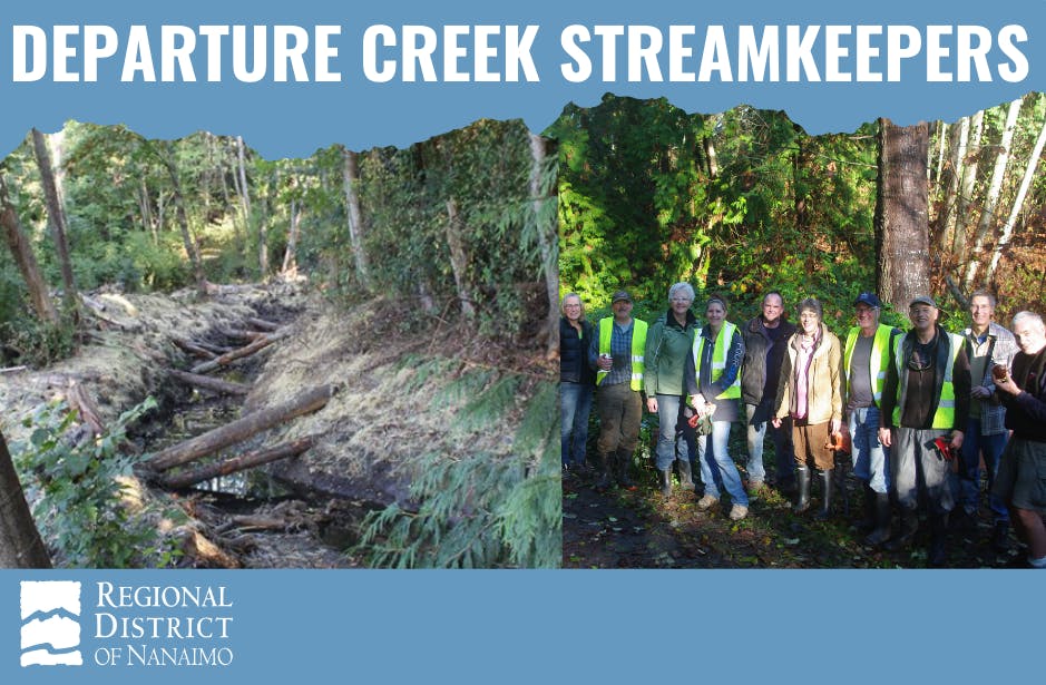 Departure Creek Streamkeepers