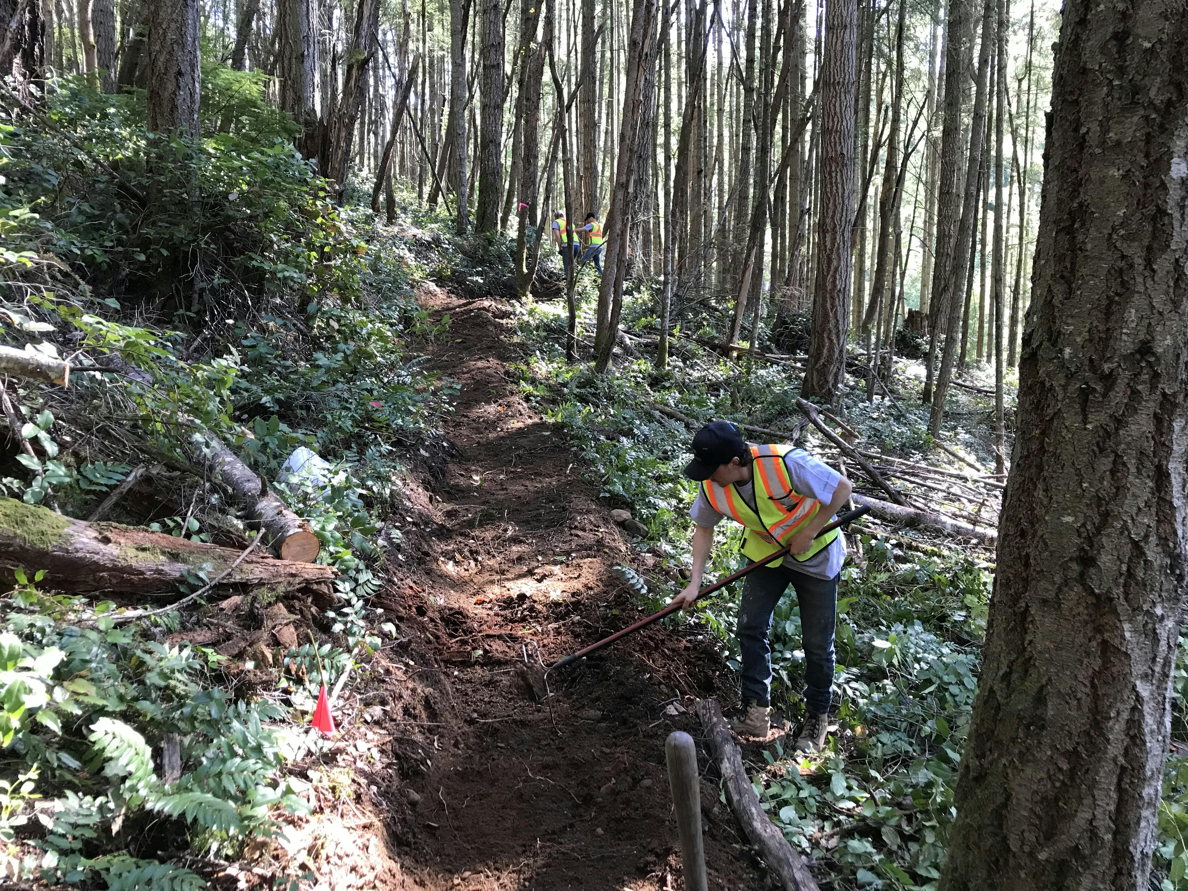 Trail work at Cobble Hill Mountain Regional Recreation Area