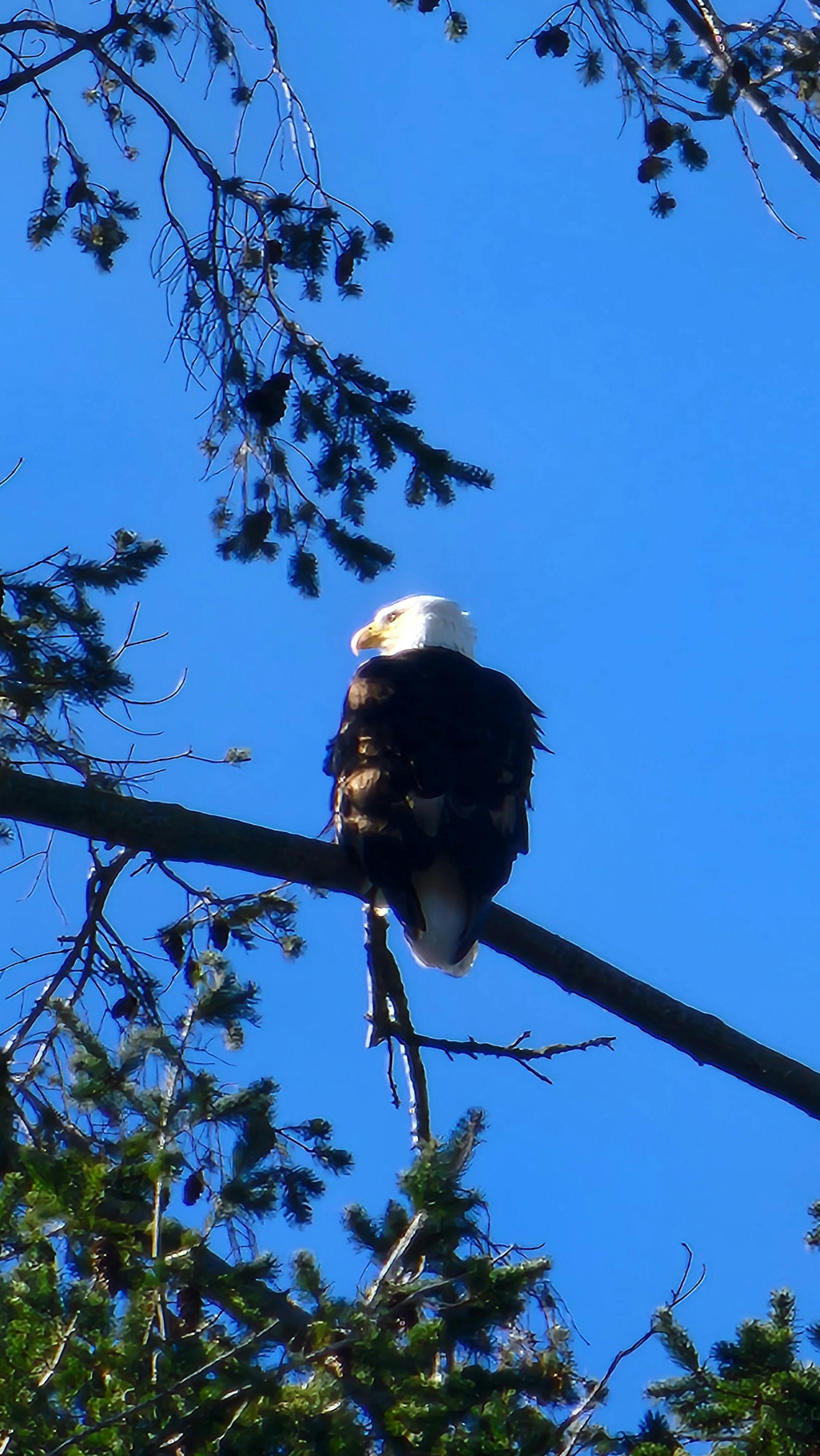 Pranav Gunti - Youth