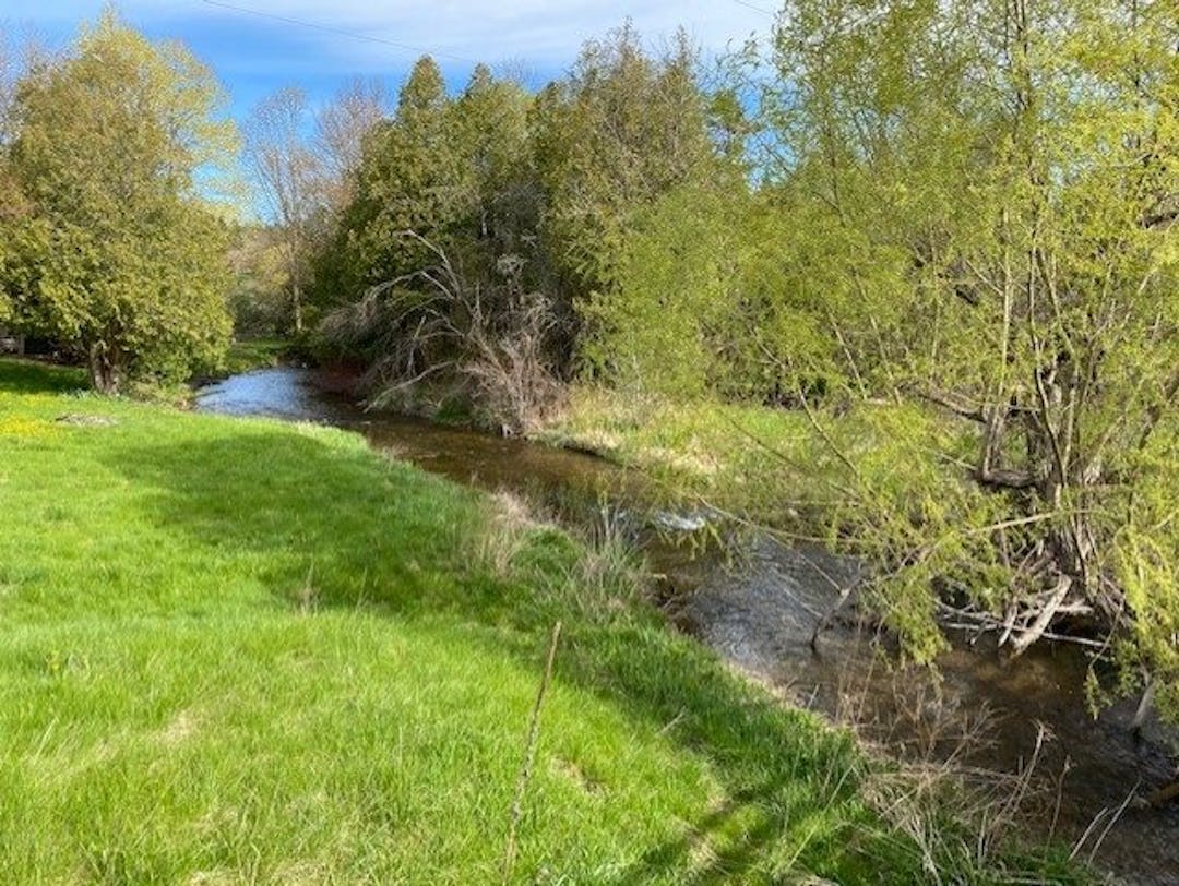 Landscape shot of Black Creek