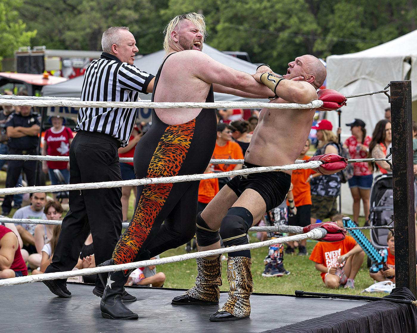 Wrestling Match.jpg