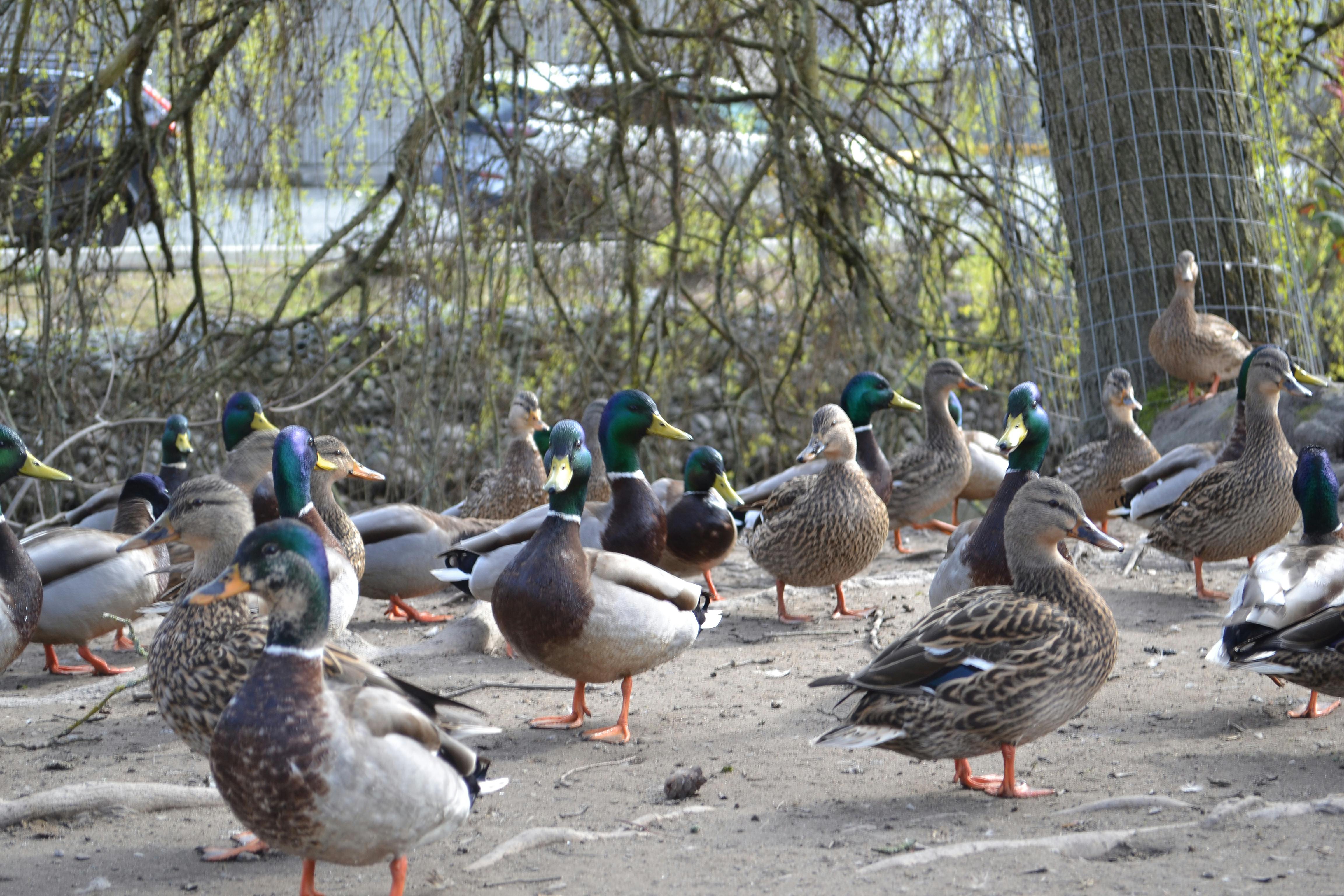 Brendan Flathen - Youth