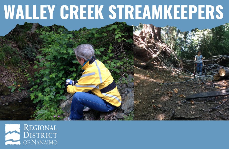 Walley Creek Streamkeepers