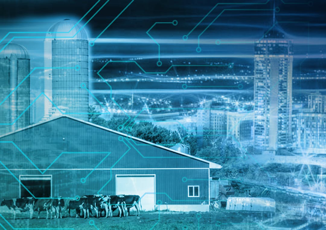 Illustration of rural buildings with overlay of representation of a network