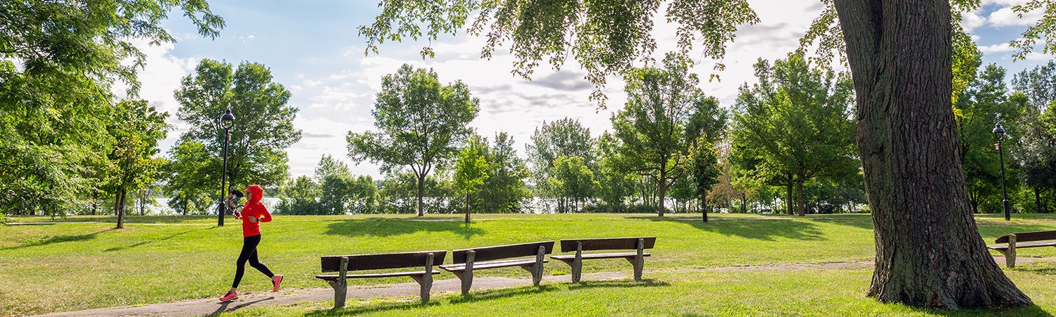 Parc Clément-Jetté