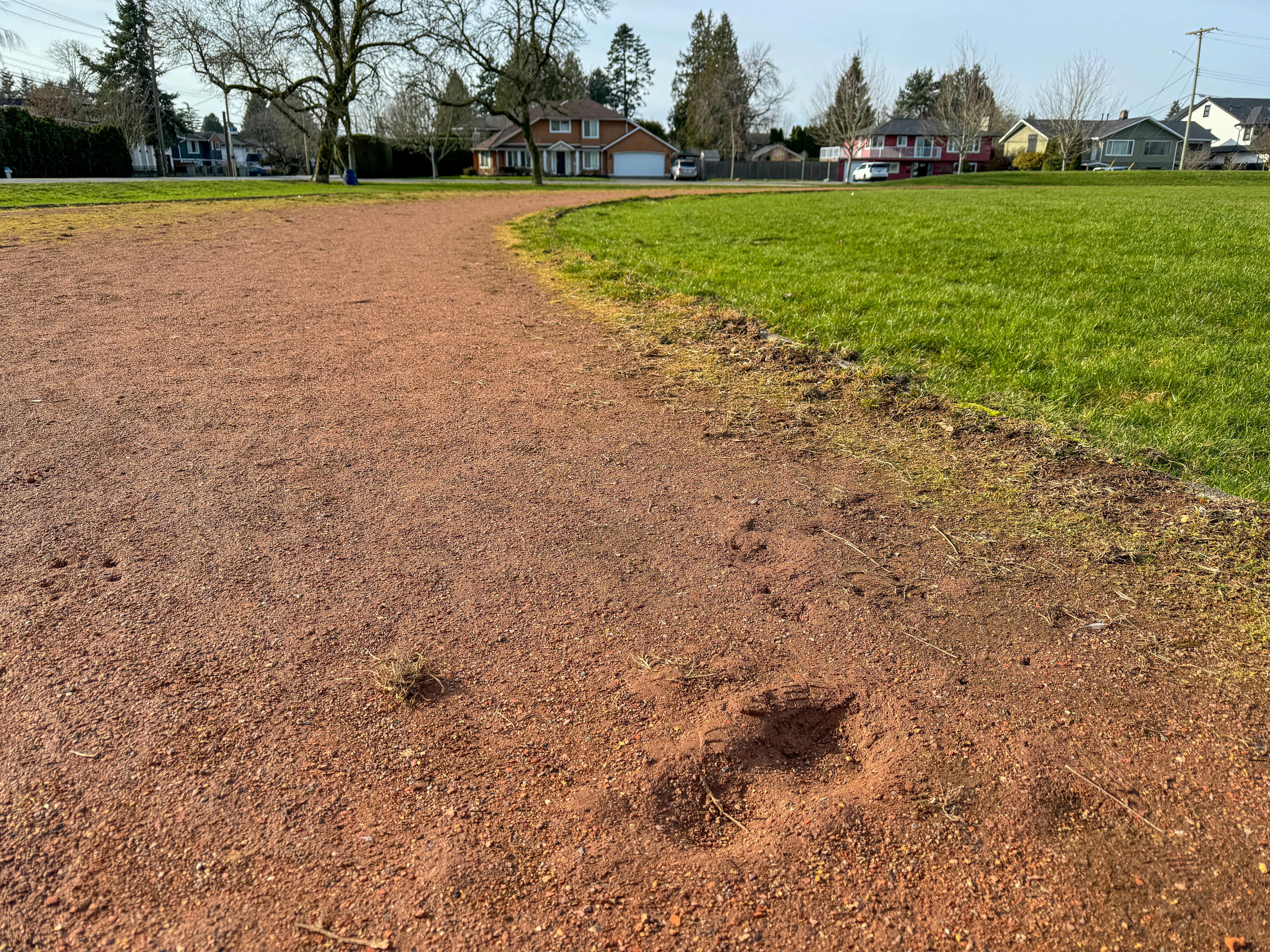 Delta Secondary School Track and Field Feb 9 2024 (Ground).jpg