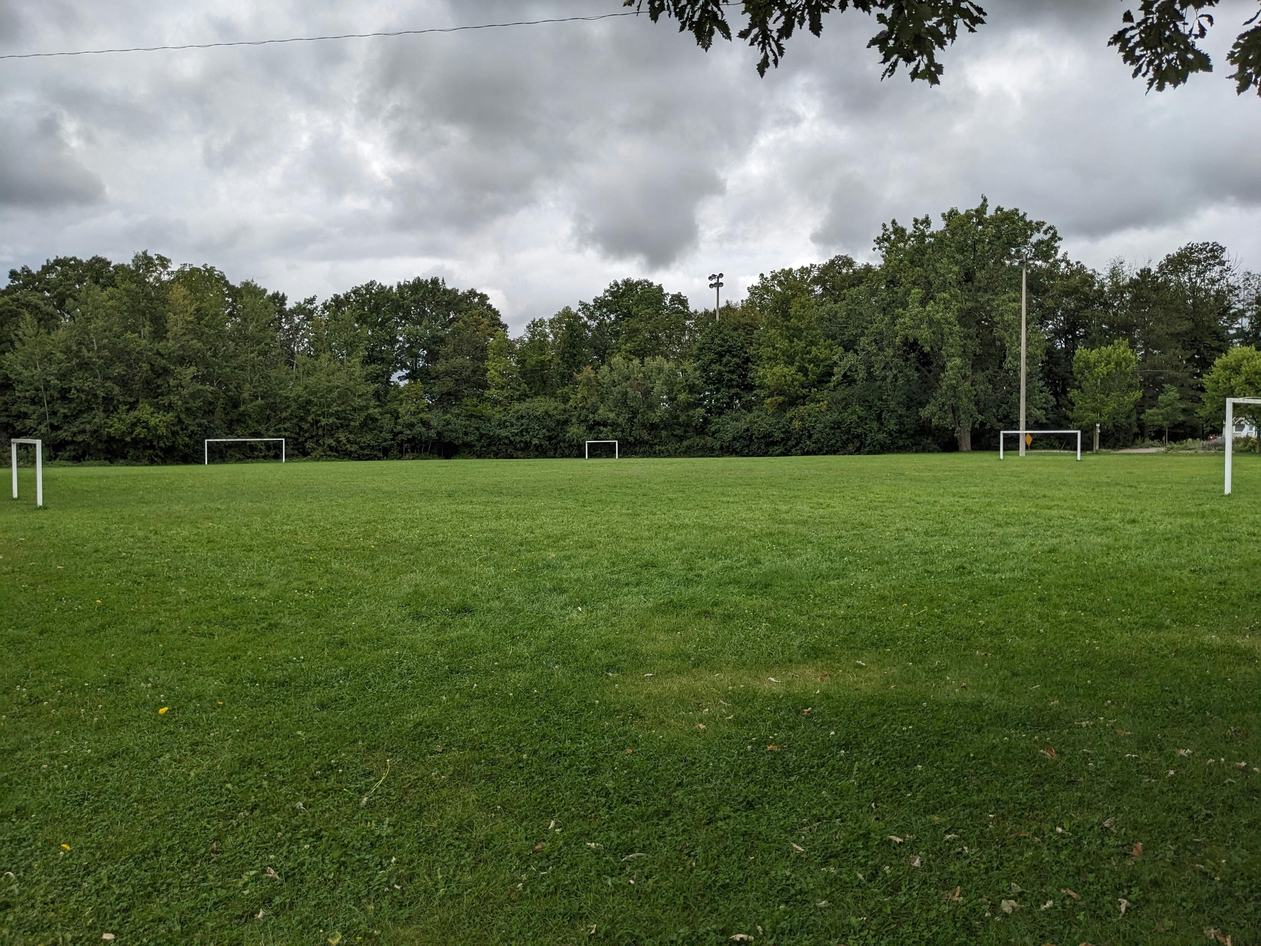 The existing lit soccer fields in Murray Park. The field is also used for recreational football.