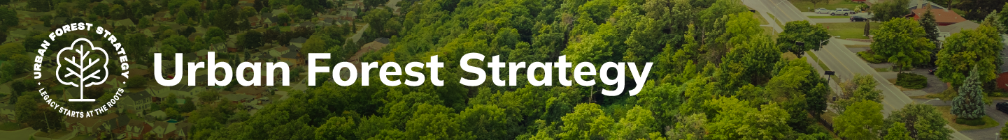 Urban Forest Strategy