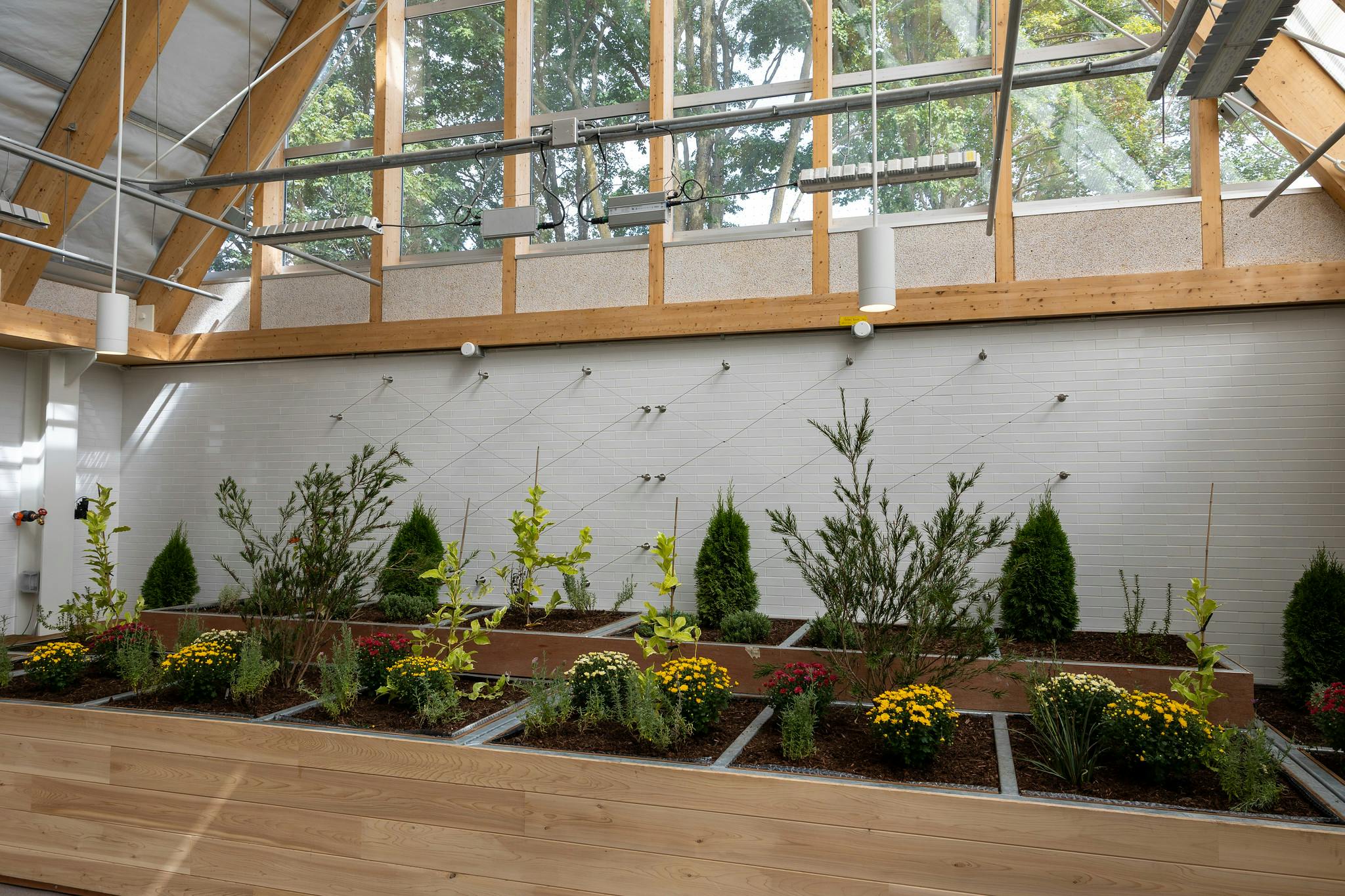 Glass Hall Greenhouse Conservatory