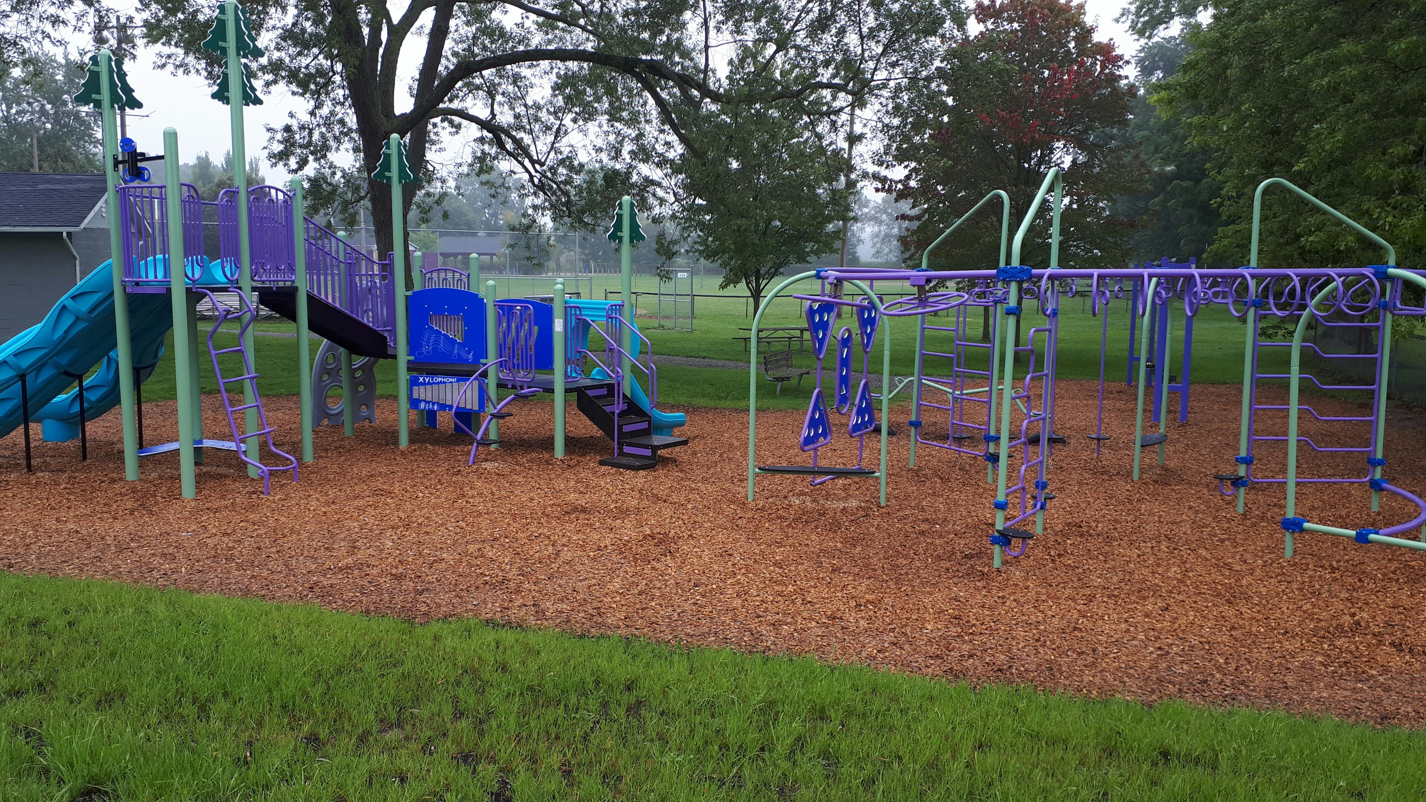 Lynden Lions Completed 2.jpg