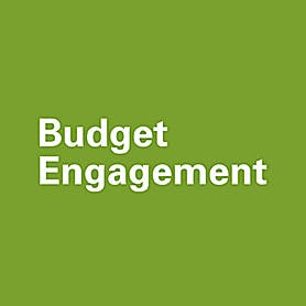 Team member, Budget Engagement Team