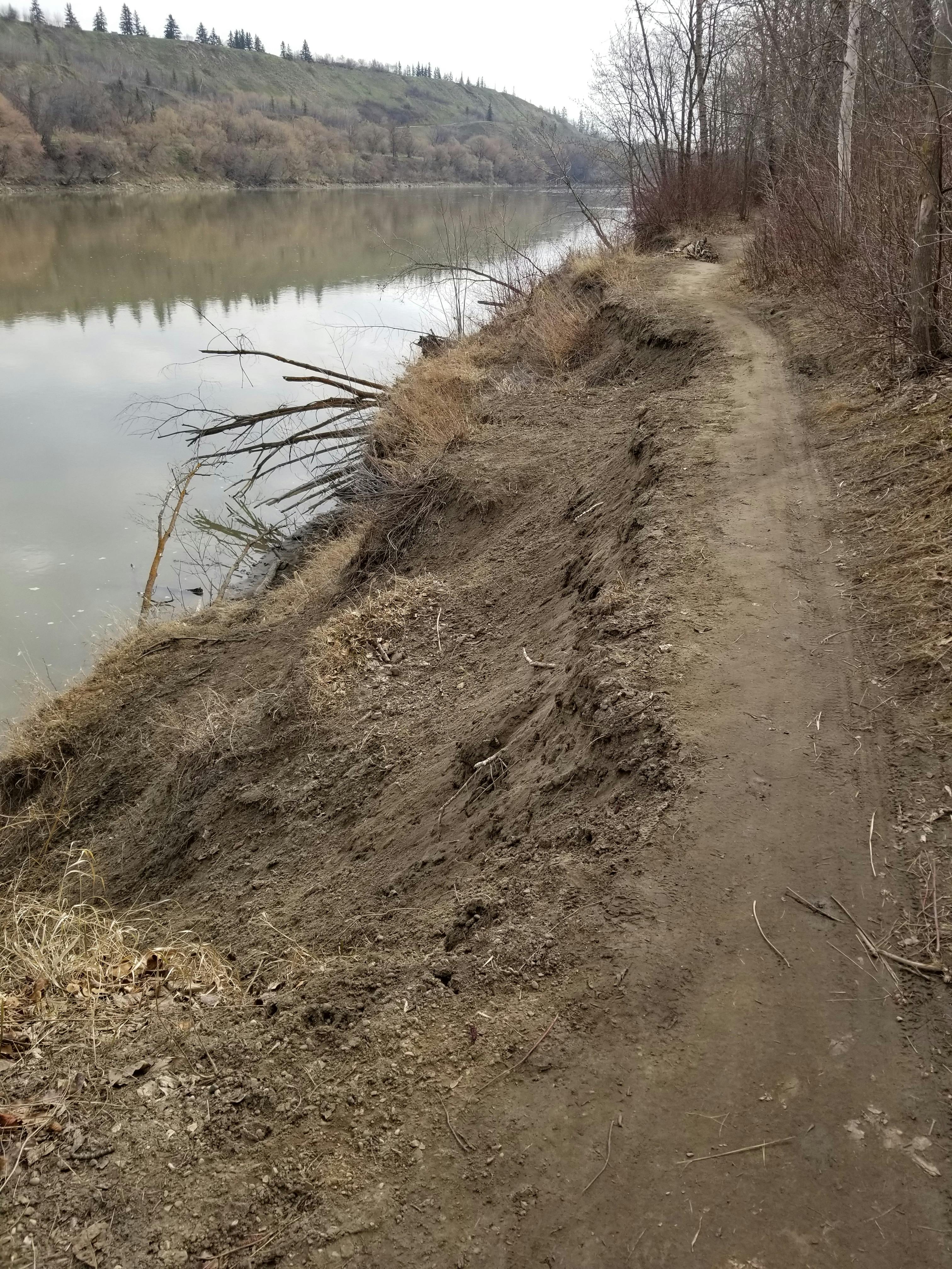 Condition of Existing Trail - 1.jpg