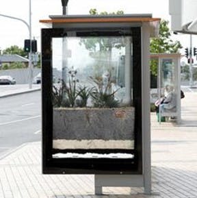Bus stop garden