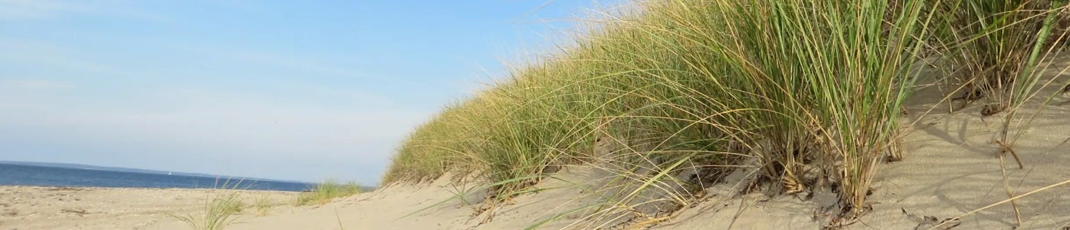 Intersection of Cedar Creek & Trussler Roads