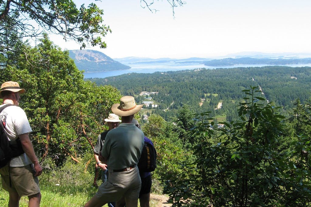 View from Cobble Hill Mountain Regional Recreation Area