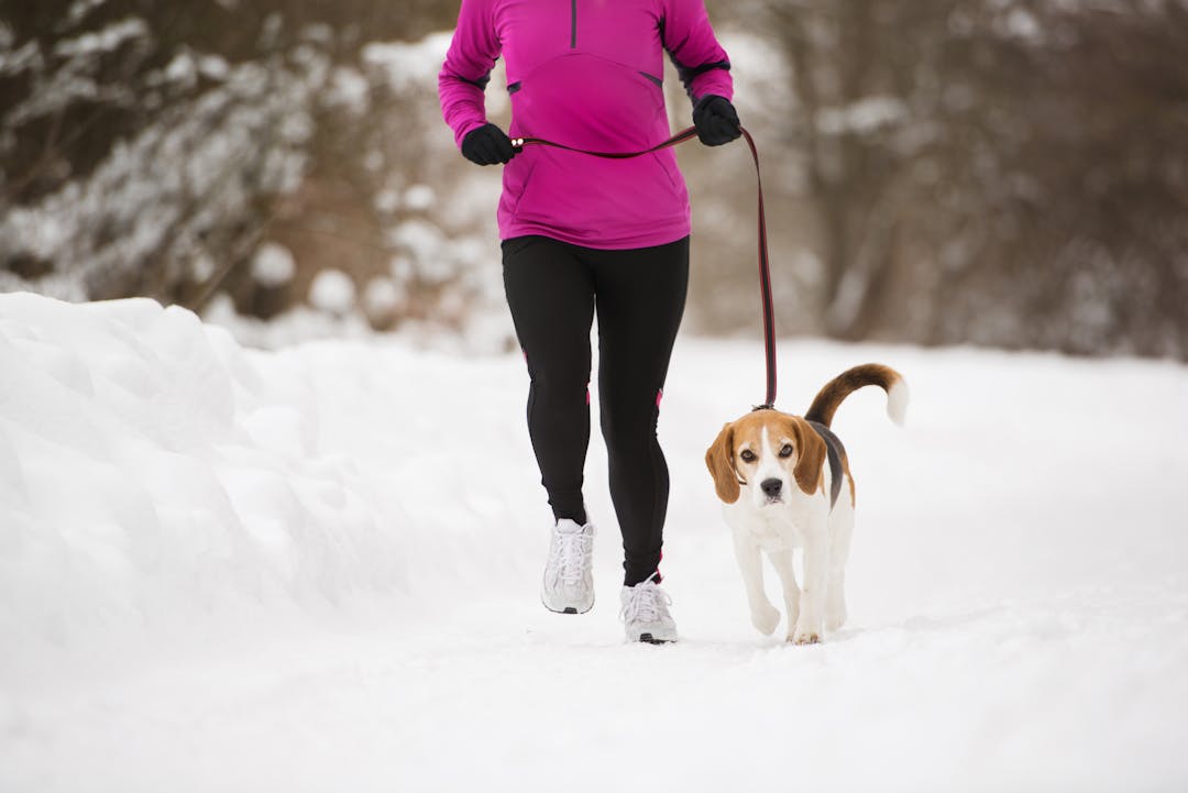 Woman running with her dog in the winter