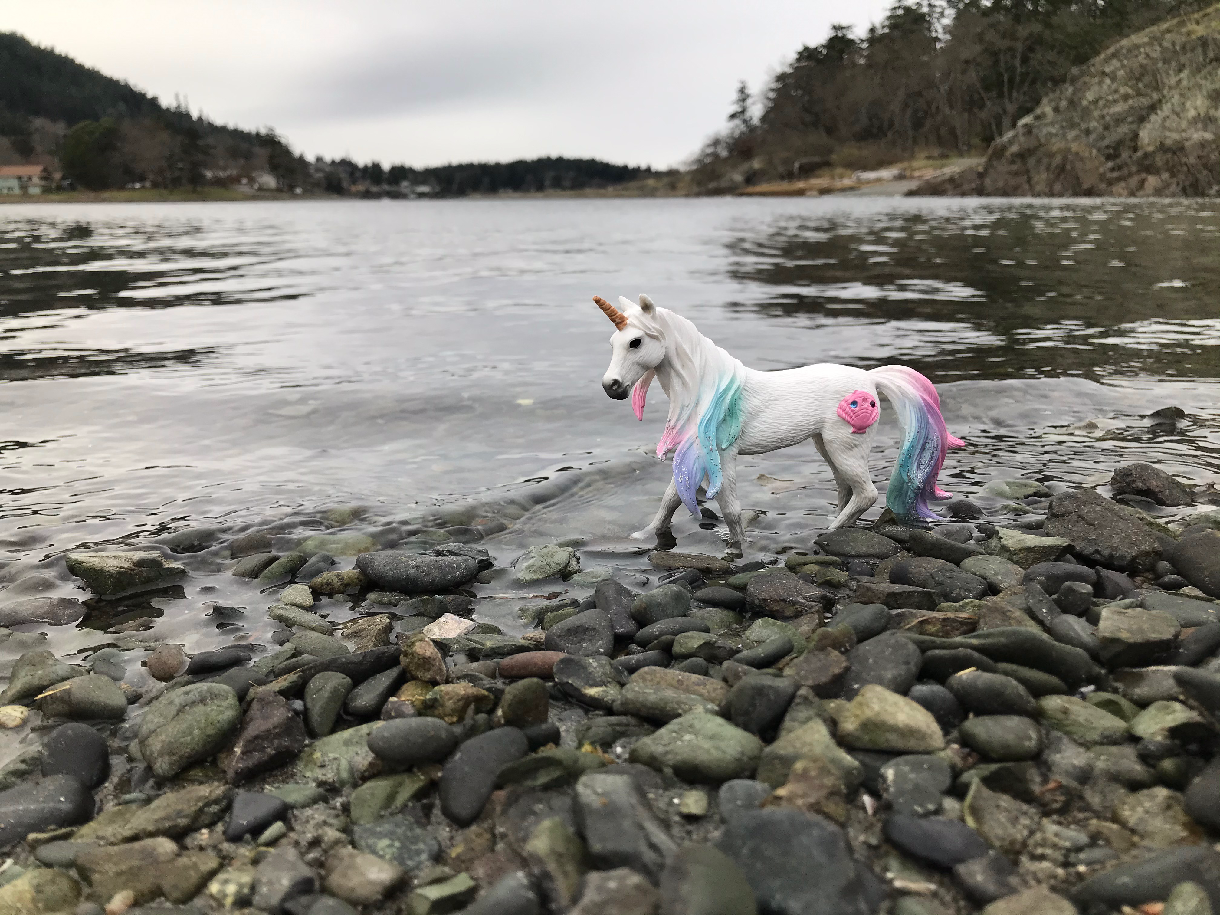Unicorn Invasion at Pipers Lagoon