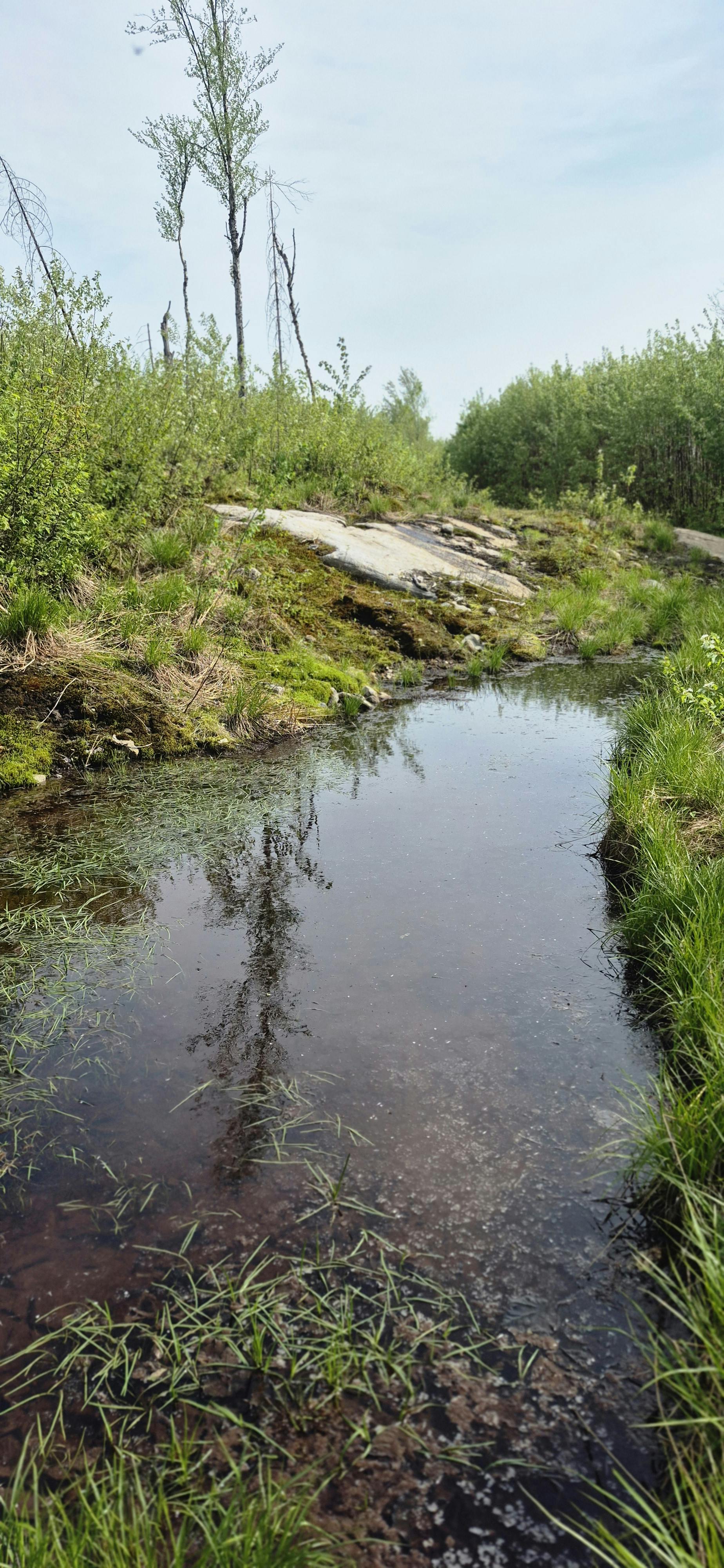 Copie de _20260604_162656.jpg