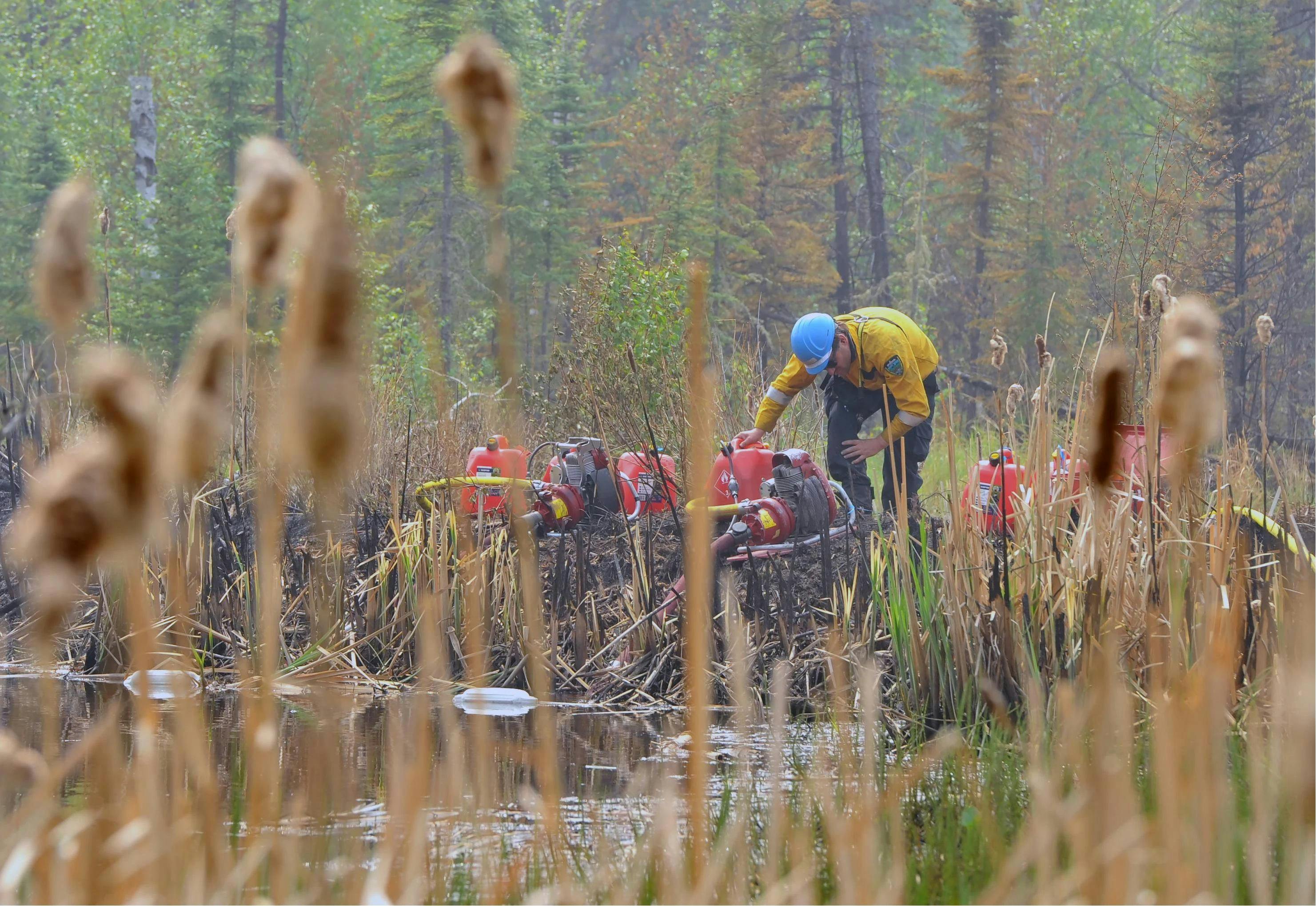 Eagle Complex - New Brunswick Firefighter