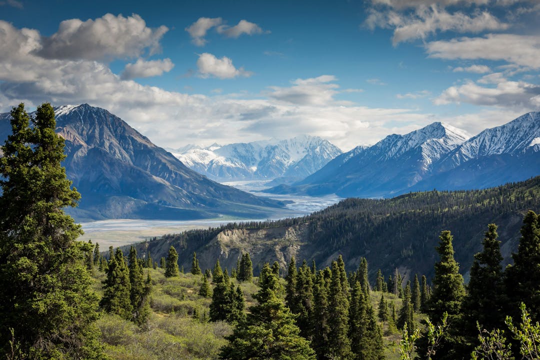 A mountain range with trees in the foreground.