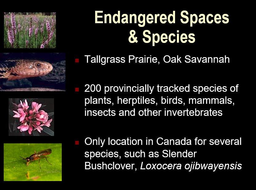 Endangered Spaces & Species
