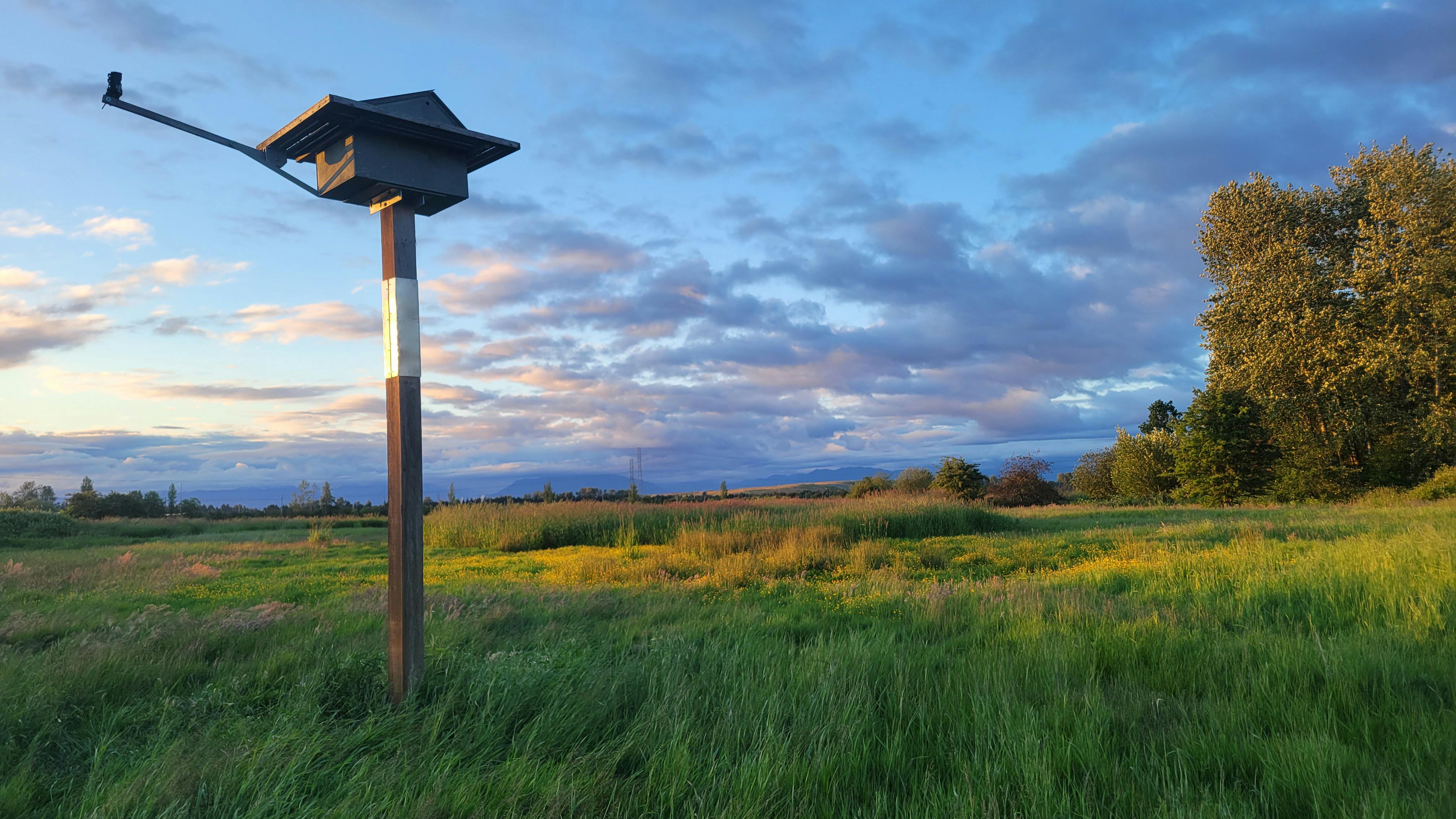 Jack MacDonald - Adult