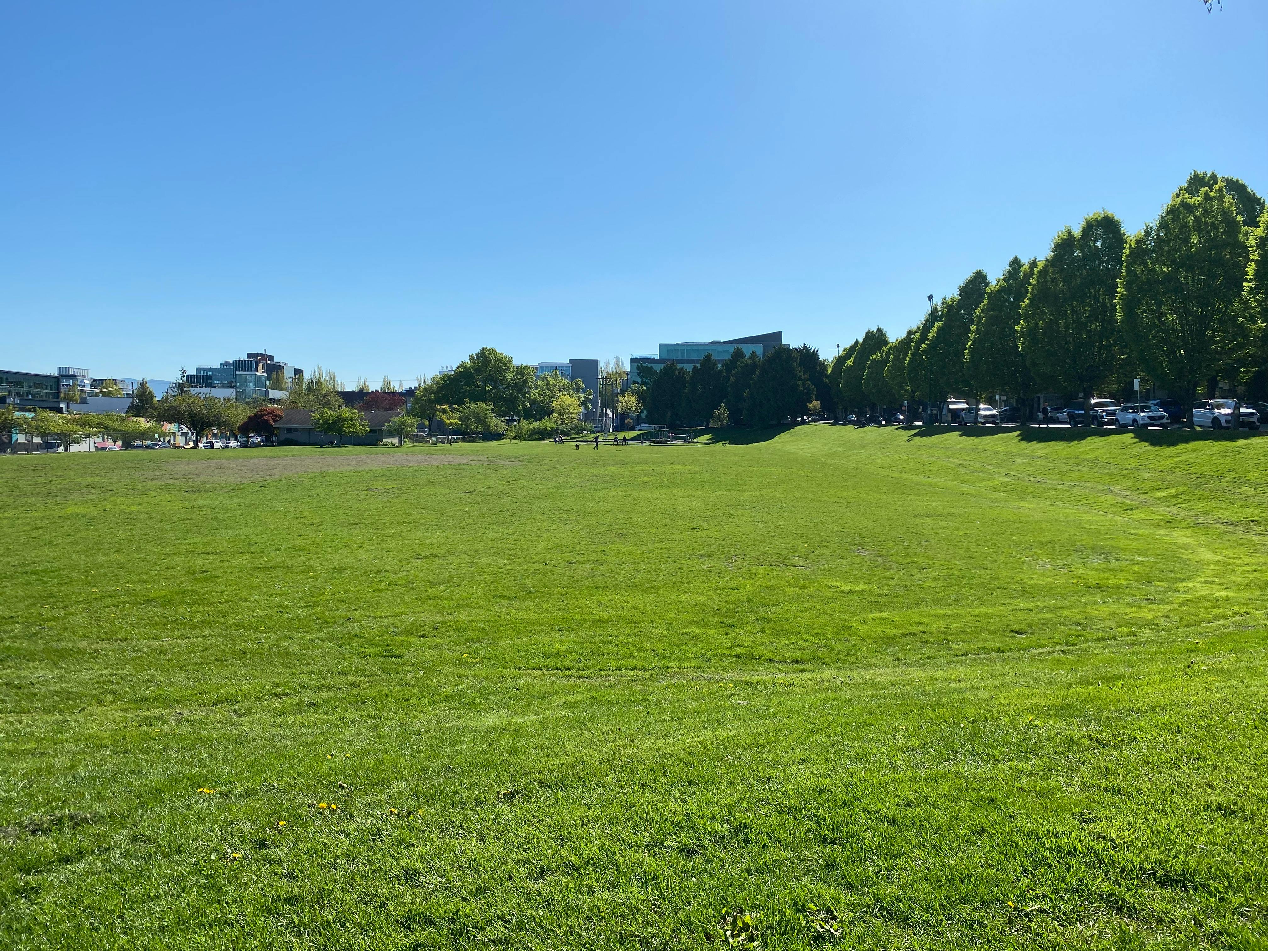 The field as viewed from Columbia st with visible wear and tear from unsanctioned dog off-leash activity