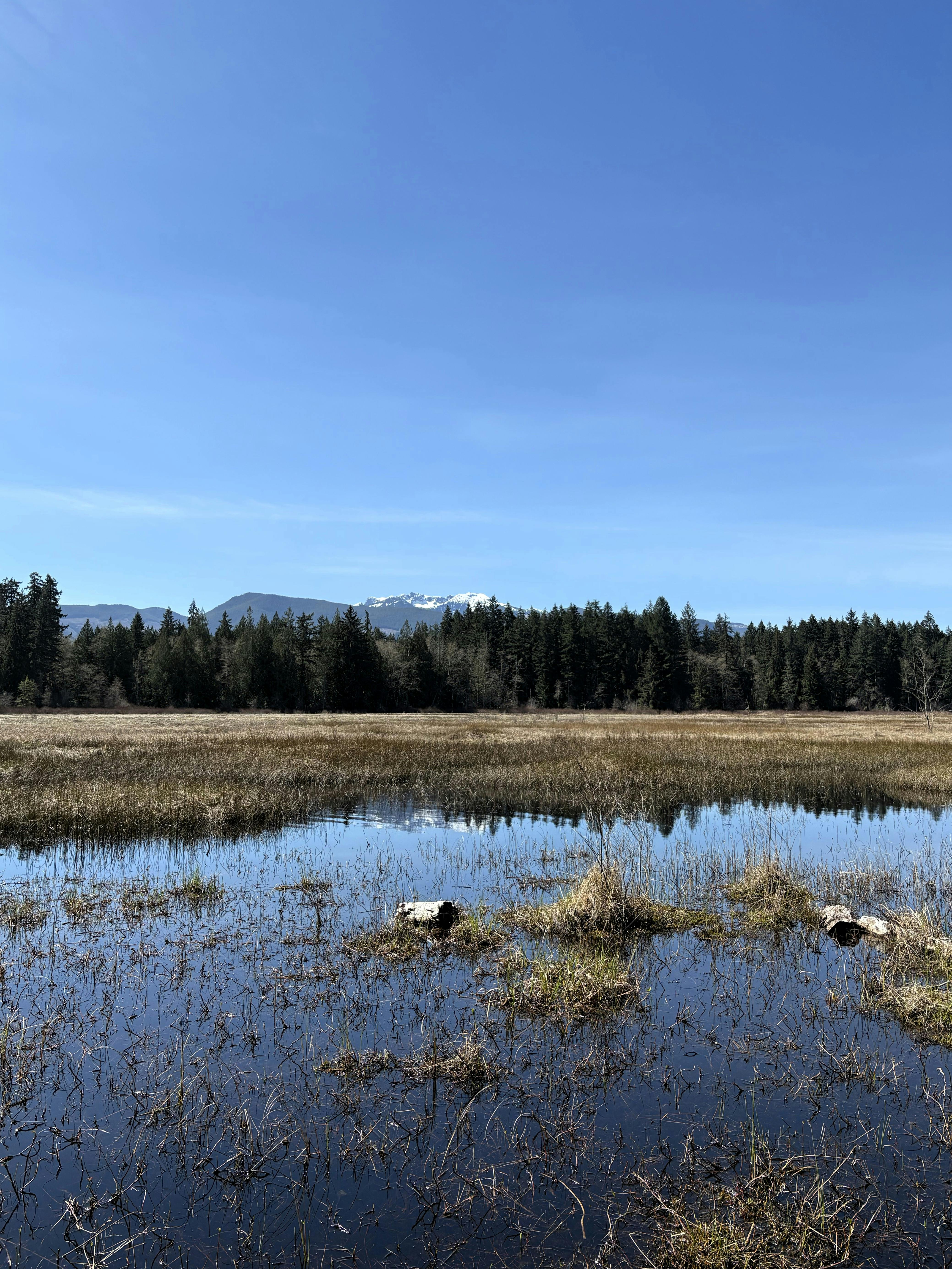 Hamilton Marsh Regional Park and Conservation Area