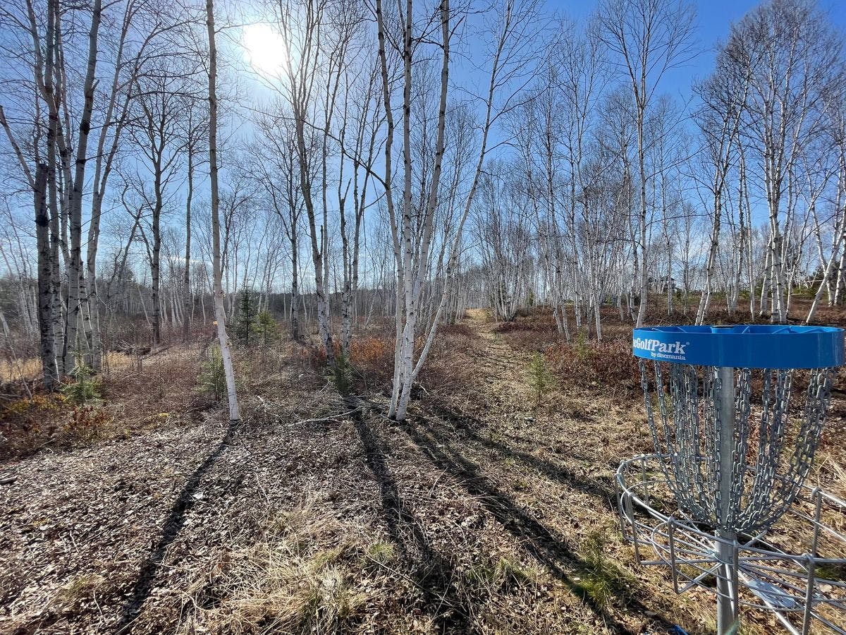 Disc Golf Photo 5.jpg